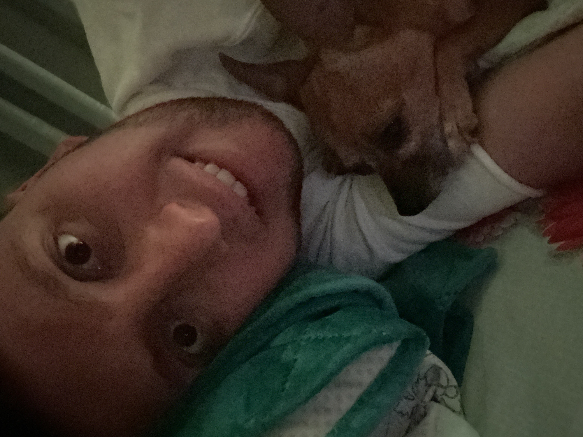 A selfie depicts a man lying down with a small brown dog resting against his chest. The man is smiling, looking towards the camera. He is wearing a white t-shirt and is partially covered by a green and white blanket. The dog's head is resting on the man's chest, facing away from the camera. The background is blurred, but appears to be bedding. There's no information to suggest this picture was taken in Vorotynsk, Russia.