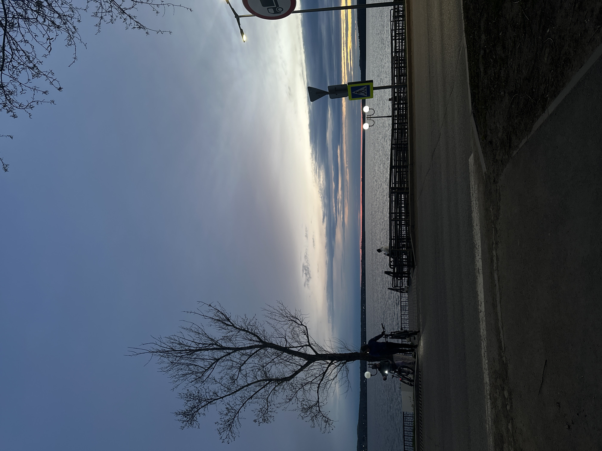 The image depicts a lakeside view in Votkinsk, Russia, at dusk or dawn. A bare tree stands prominently in the foreground. A sidewalk runs along the edge of the lake, lined with a metal fence. People with bicycles are standing near the tree. Streetlights illuminate the path, along with street signs. The sky shows a transition from blue to shades of pink and orange near the horizon. The water is calm.