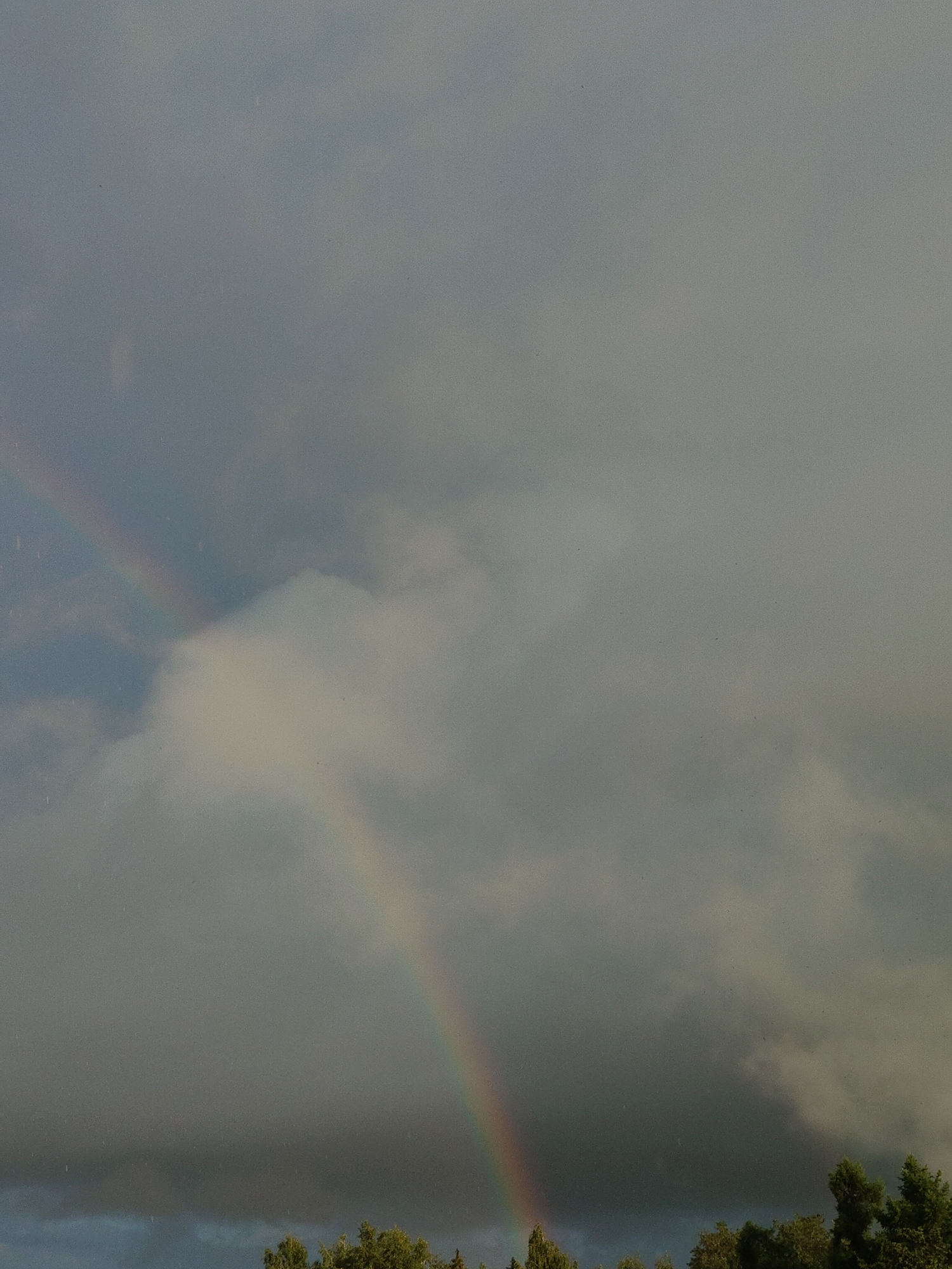 The image depicts a natural scene with a sky filled with clouds, and the faint presence of a rainbow. The top portion of the image is dominated by a hazy, grey sky, suggesting an overcast or cloudy day. A rainbow arc is visible in the middle left of the image, with its colors somewhat muted due to the atmospheric conditions. Below the sky, the upper canopy of trees is visible, indicating a terrestrial landscape. The trees are a lush green, suggesting a natural environment, possibly a park or forest on the outskirts of a city. The overall lighting is diffused, typical of a cloudy day with potential for rain. The image does not contain any people or man-made structures, focusing solely on the natural elements of the sky and vegetation.