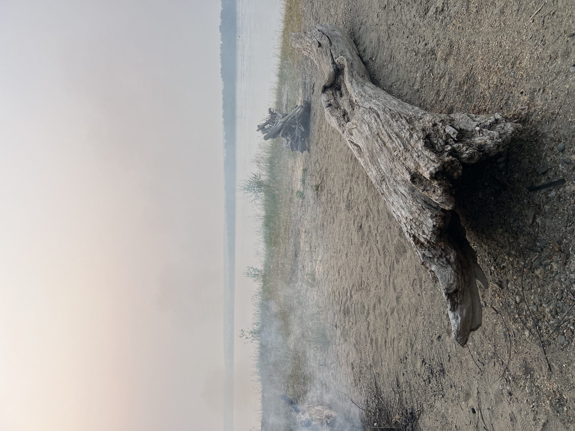 The image depicts a hazy, overcast scene on a sandy shore next to a body of water, possibly a river. In the foreground, a large, weathered log lies horizontally on the sand. To the left, a small fire smolders, emitting wisps of smoke that rise and mingle with the atmospheric haze. Behind the log, a pile of smaller driftwood is gathered. The background shows a low-lying tree line across the water, and a faint, hazy horizon. The overall impression is one of a quiet, natural setting, perhaps a secluded campsite. There are no people visible in the image.