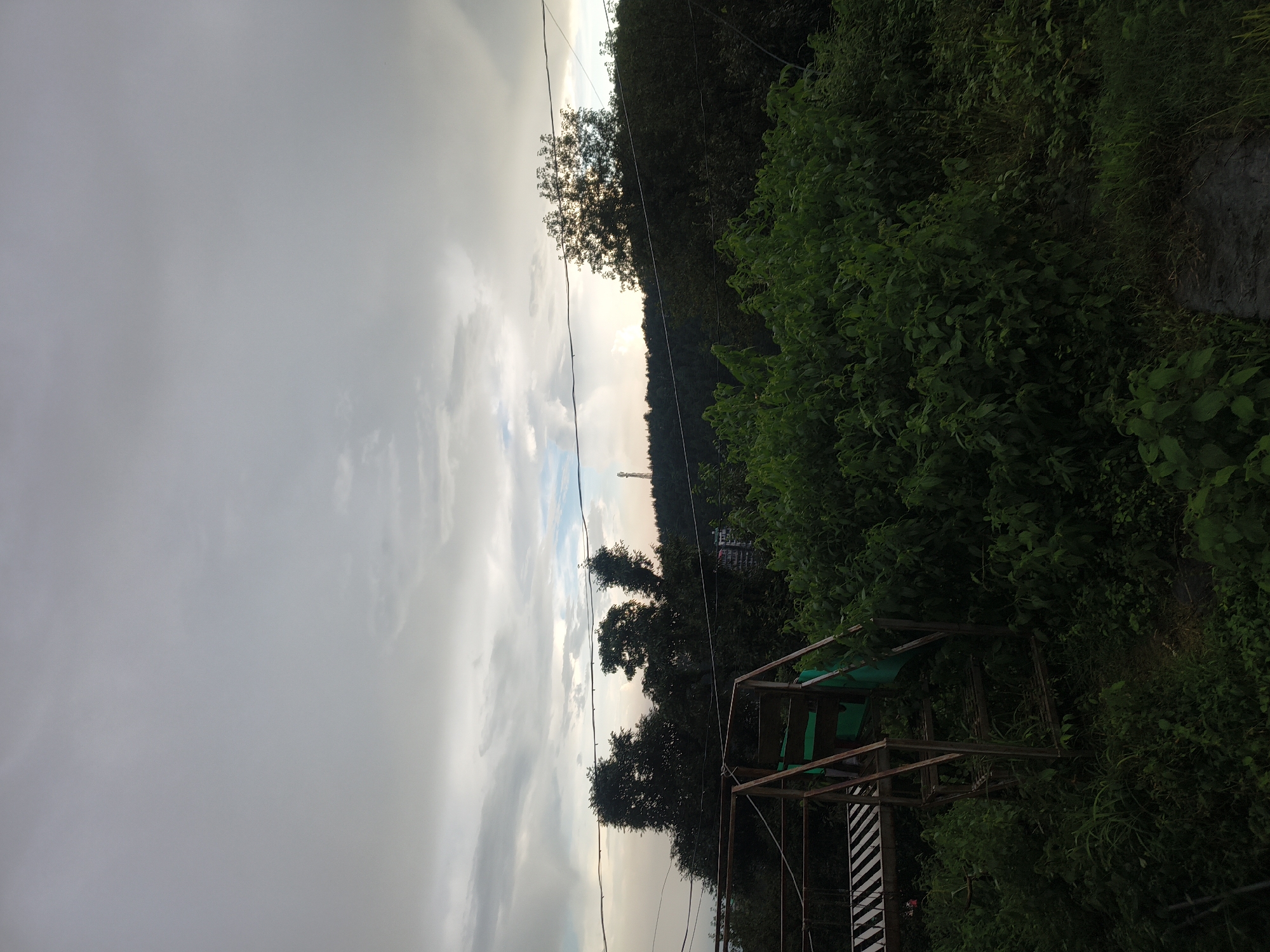 The image depicts an outdoor scene at dusk, with a dramatic sky filled with overcast clouds. In the foreground, a metal structure, possibly part of a swing set or playground equipment, is visible on the left, with steps leading up to a platform. Lush green foliage and dense vegetation dominate the lower half of the image, suggesting a natural or overgrown area. In the background, a line of trees forms a silhouette against the sky, and beyond that, a gently sloping hill is covered in more trees. A tall tower or antenna is visible on the hilltop to the right. A few power lines stretch horizontally across the frame, intersecting with the trees and sky. The overall impression is one of a natural landscape on the outskirts of a settlement, possibly in Haini, India, given the context. There are no people visible in the image.