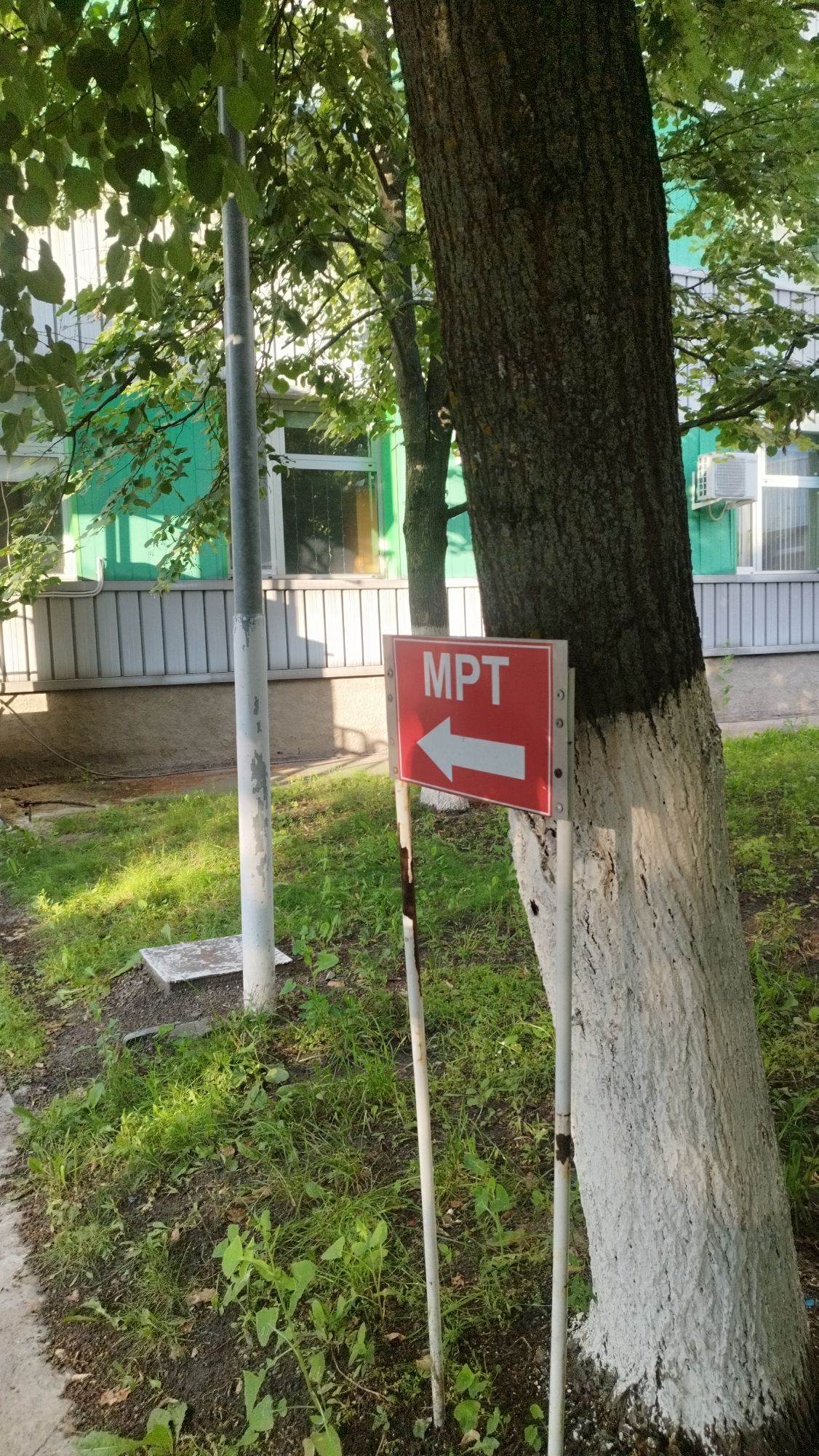 The image depicts an outdoor scene in Stary Oskol, Russia, on a sunny day. In the foreground, a red sign with white lettering and an arrow points to the left. The sign reads "MPT". The sign is mounted on two metal posts, one of which is partially obscured by a large tree trunk. The tree trunk is painted white at its base. To the left of the sign and tree, a tall, thin metal pole stands vertically. Behind the sign and tree, a building with green siding and windows is visible. The ground is covered with grass and some dirt. The overall impression is that of a directional sign located on the grounds of an institution or facility in a city park or residential area.