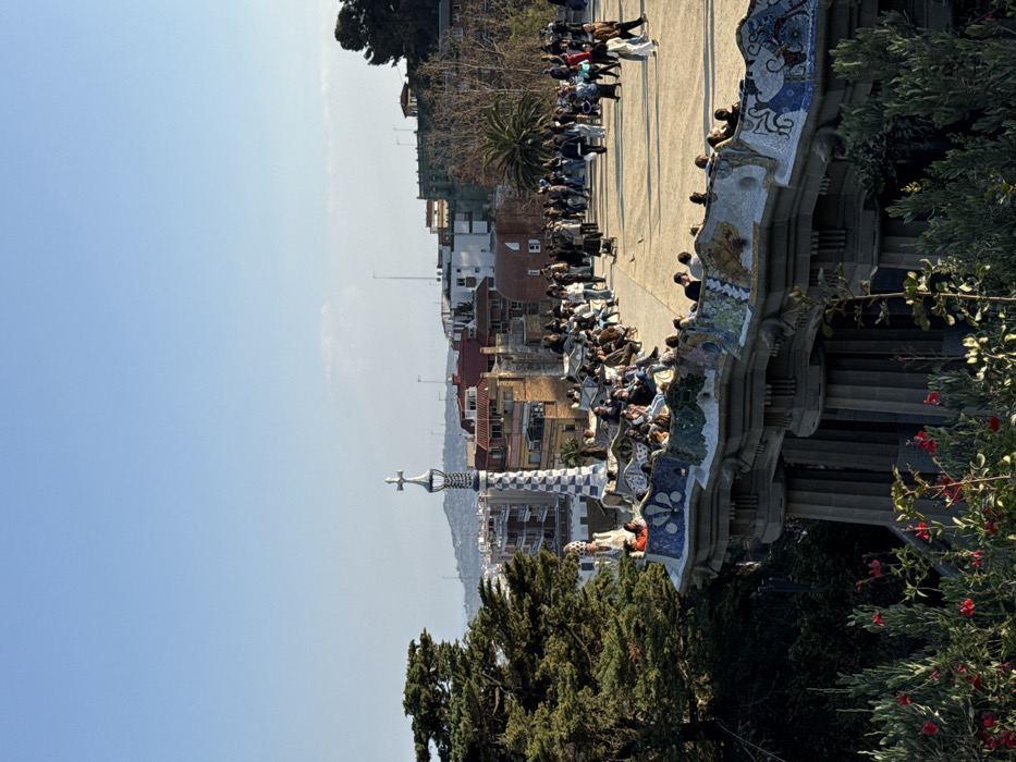 The image depicts a crowded outdoor terrace within Park Güell in Barcelona, Spain, under a clear, light blue sky. In the midground, a long, undulating serpentine bench, adorned with multicolored mosaic tiles featuring abstract patterns, forms the edge of an elevated, light-colored paved plaza. Numerous individuals are seated along the bench, facing away from the plaza. The plaza itself is densely populated with a diverse group of people standing and walking, indicating a public gathering or tourist site. To the left, a tall, conical spire decorated with blue and white patterned tiles and topped with a metallic cross rises prominently. Beneath the mosaic bench, an architectural structure featuring a series of grey stone columns and beams is visible. The foreground on the left features dense green foliage from a large coniferous tree, and on the right, smaller green plants with red flowering buds. In the background, beyond the park structures, a panoramic view of the city of Barcelona extends, characterized by numerous buildings with varied facades and roofs, against a backdrop of distant hills or mountains. The scene is illuminated by natural sunlight, casting shadows indicative of late afternoon.