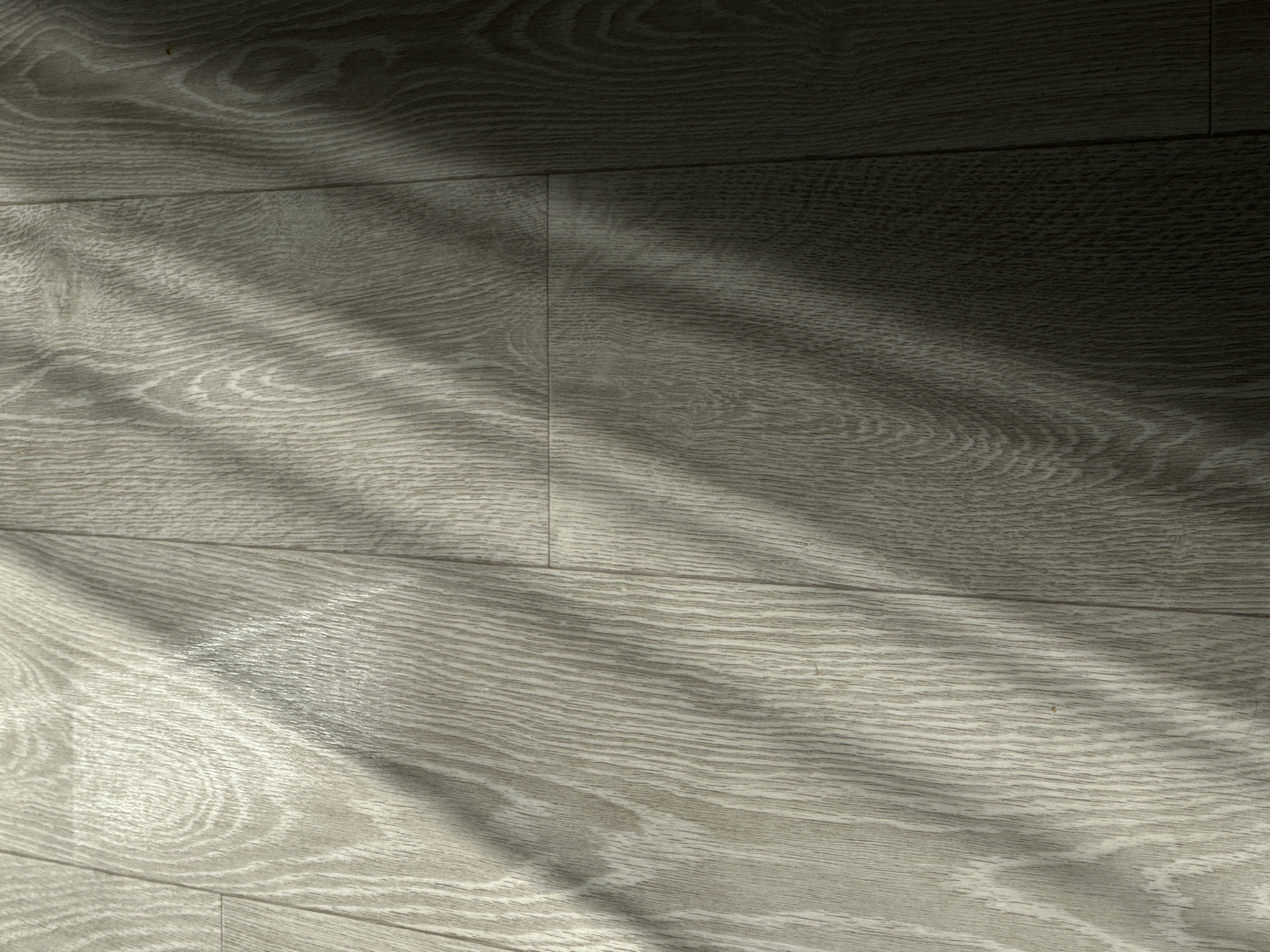 The image depicts a close-up of a light gray laminate wood floor with sunlight streaming across it. The planks are arranged horizontally and show distinct wood grain patterns. The sunlight casts shadows across the floor, creating a contrast between light and dark areas. No people or other objects are visible. The location is within the city of Unknown, Unknown.
