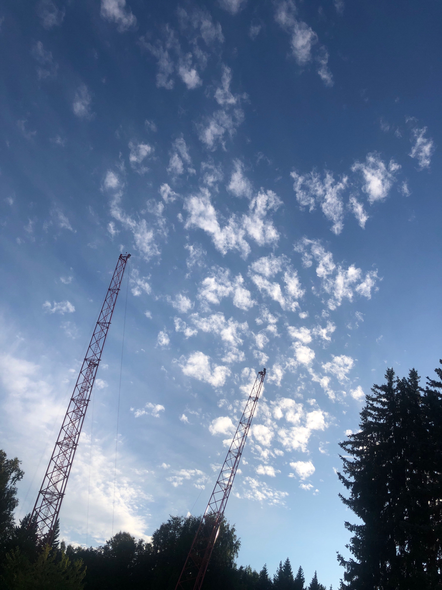 This is a photograph taken in Saint Petersburg, Russia, of a bright blue sky with scattered white clouds. Two tall, red lattice cranes dominate the foreground, angled upwards towards the sky. The cranes appear to be under construction or in the process of assembly. Dense green trees, silhouetted against the sky, form a dark line along the bottom of the image, with the top of a large evergreen tree on the right side also visible. The overall scene suggests an outdoor setting, possibly a construction site or a park with tall structures.