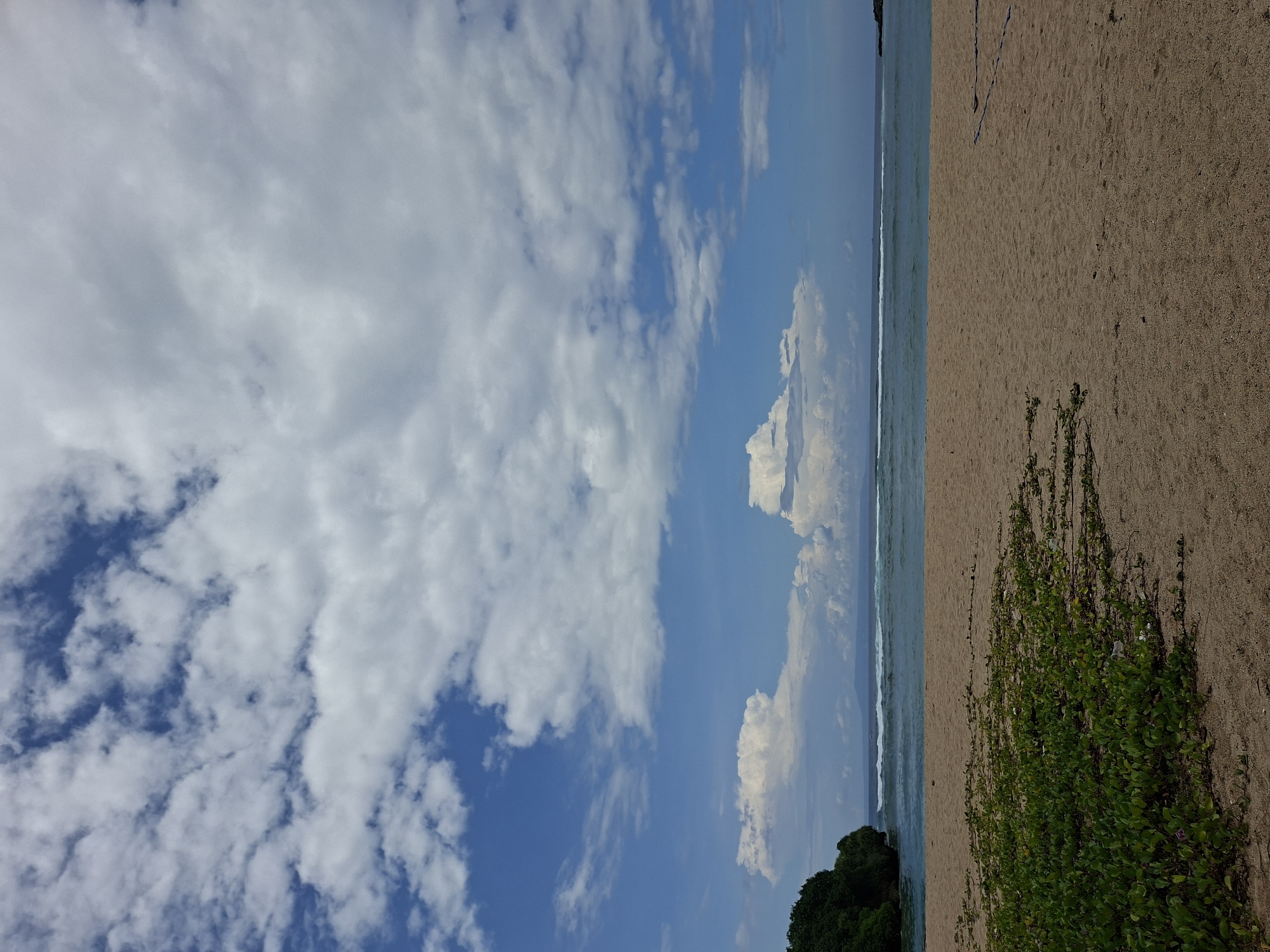 The image displays a tranquil coastal landscape, viewed from the beach towards the ocean and sky. The scene is characterized by a bright blue sky, a shimmering ocean, and a wide sandy beach.
The upper portion of the frame is dominated by a clear blue sky, interspersed with numerous white, fluffy cumulus clouds of varying sizes. Some clouds appear large and voluminous, while others are more scattered and wispy, indicating fair weather conditions.
Below the sky, a band of light blue-green ocean stretches across the middle of the image. Gentle white waves are visible breaking along the shoreline, creating a clear boundary between the water and the land.
The lower right part of the image features a wide expanse of light brown, fine-grained sandy beach. In the immediate foreground, on the right, a vibrant patch of green ground cover or low-lying coastal vegetation, characterized by small, dense leaves, grows directly on the sand.
In the distance, towards the lower left of the frame, a dark green mass of vegetation, possibly a treeline or a small, verdant headland, meets the ocean.
There are no people, animals, or man-made structures visible in the scene. The time of day appears to be daytime, likely late morning or early afternoon, given the bright illumination. The weather is sunny with scattered clouds. The scene conveys a sense of peace and natural beauty, consistent with a tropical beach environment like Kuta Selatan, Indonesia. No visible text is present.