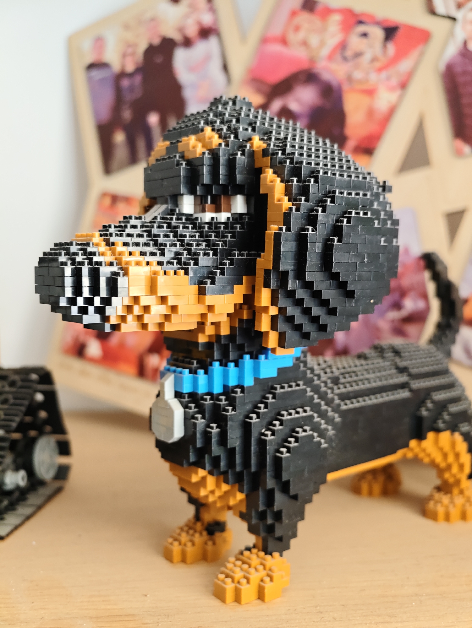 A black and tan dachshund dog figure, constructed from small, interlocking plastic bricks, stands on a light brown wooden surface. The dog has a bright blue collar around its neck and is positioned in the foreground, with its body facing towards the right of the frame. In the background, a wooden frame displays several out-of-focus photographs of people, suggesting a domestic setting. To the left of the dog, partially visible in the frame, is another brick-built object, possibly a vehicle track or a miniature tank. The lighting is bright, casting soft shadows. There is no information or visual evidence to suggest this scene is located in Petah Tikva, Israel.