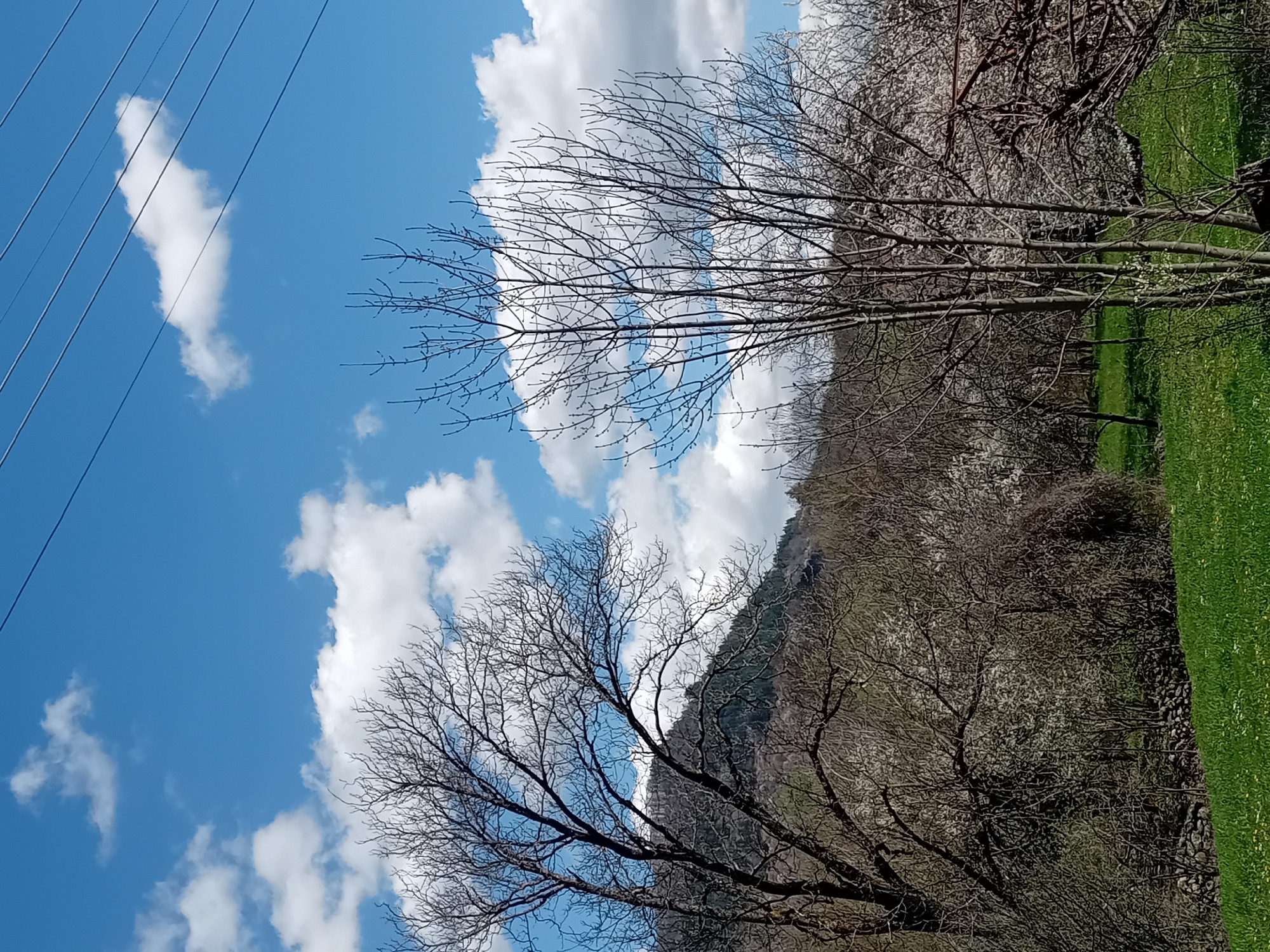 The image shows a landscape with a blue sky and scattered white clouds. Bare tree branches are visible in the foreground, contrasting with the sky. A mountain or hillside is partially visible behind the trees, and a patch of green grass is present on the right side of the image. Power lines run across the top left corner of the frame. The location is Unknown, Unknown.