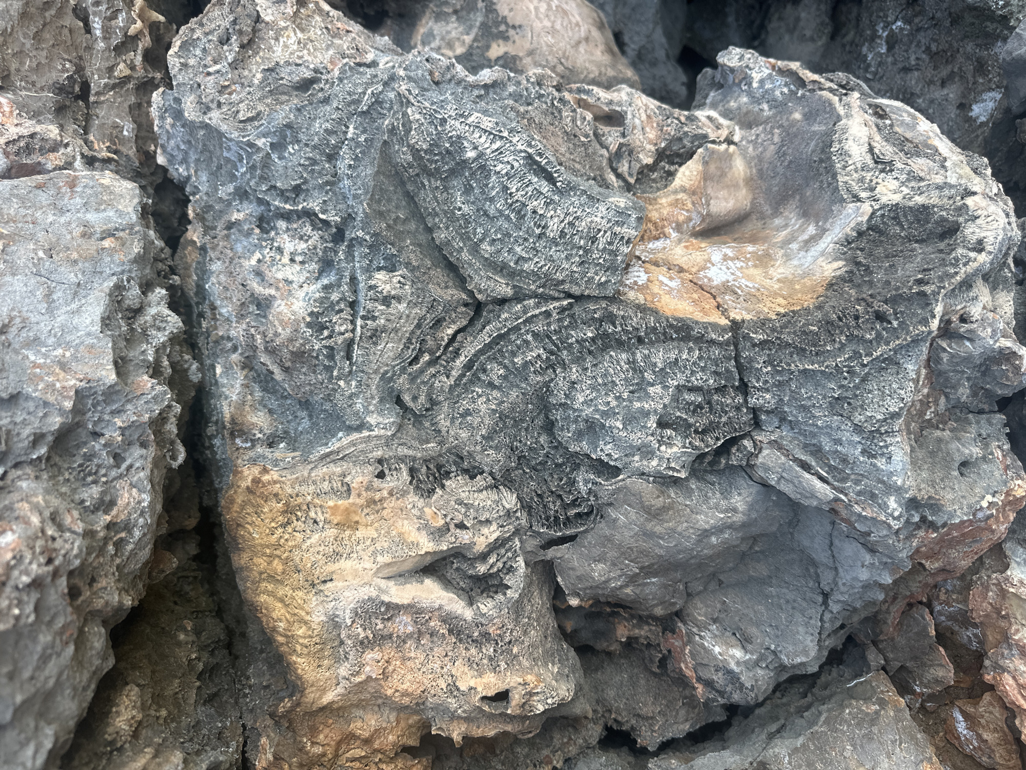 The image displays a close-up, overhead view of a pile of weathered, rough-textured rocks. The rocks are primarily gray and brown, with some lighter patches and streaks of orange and white. The surfaces are irregular, featuring crevices, fissures, and layered textures that suggest significant erosion and age. The lighting casts subtle shadows, emphasizing the ruggedness of the material. No people or animals are visible. This formation is located in Seoca, Montenegro.