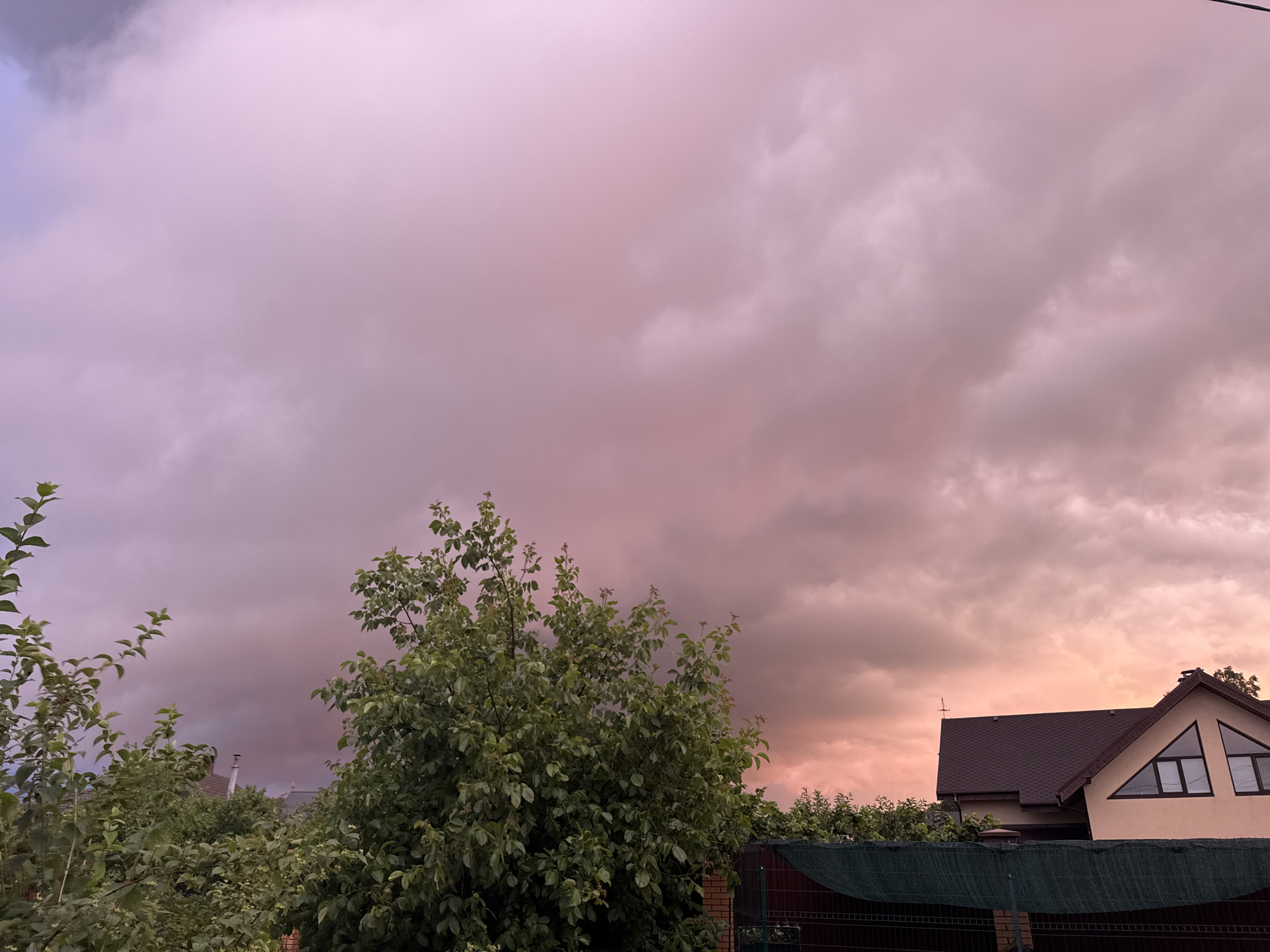 The image shows a backyard scene with a large tree in the foreground and houses in the background under a cloudy, pink-hued sky. The tree is full of green leaves, and some smaller trees and bushes are visible to the left and right. Two houses with dark roofs are partially visible behind the foliage. One house has a distinctive triangular window. A dark green fence with a mesh covering runs across the lower right portion of the image. The sky is dominated by large, dramatic clouds with shades of pink, purple, and gray, suggesting either dawn or dusk. There are no people visible in the image. The scene appears to be a residential area.