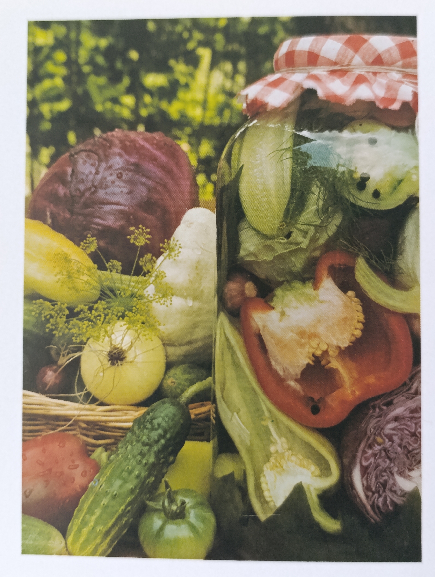 A close-up shot depicts a glass jar filled with pickled vegetables, including cucumbers, red and green bell peppers, and dill. The jar is sealed with a red and white checkered cloth lid. To the left of the jar, a variety of fresh vegetables are arranged in a basket, including a large head of red cabbage, a yellow squash, an onion, a cucumber, a green tomato, and a red bell pepper. The background is blurred and appears to be foliage. The overall scene is brightly lit and suggests a harvest or preservation theme. There are no people or specific city locations visible in the image.