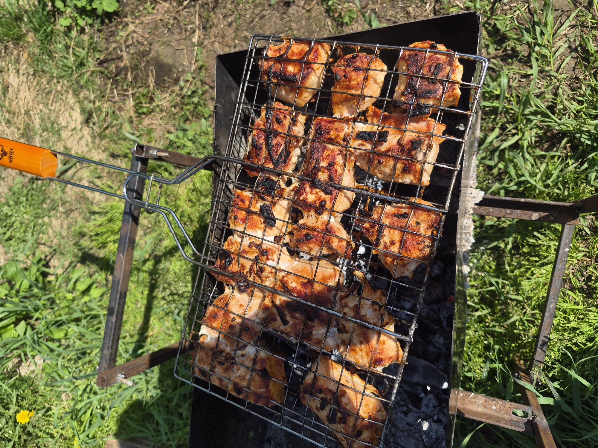 A top-down shot shows a charcoal grill in an outdoor environment with an unidentifiable location in the city of Unknown, Unknown. The grill holds skewered meat chunks in a metal grilling basket. The grill's metal frame rests on the ground, surrounded by green grass. The grill's handle has an orange grip. Ash and unburned charcoal are visible beneath the grilling basket.