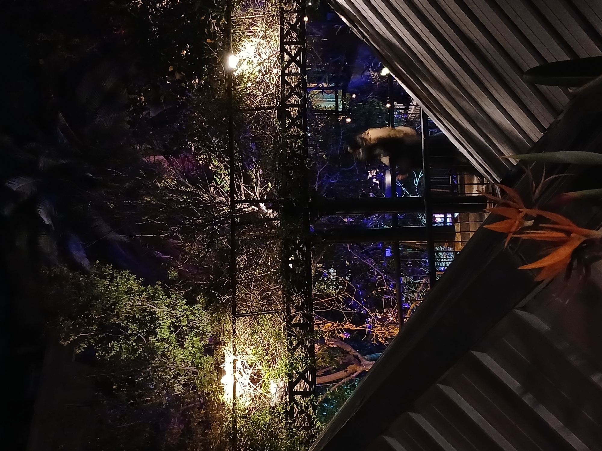 The image depicts an outdoor scene at night, potentially in a garden or patio setting. A structure with a metal roof dominates the right side of the frame. To the left of the structure, there is dense vegetation, including trees and bushes. A metal grid-like structure is visible amidst the foliage, illuminated by a bright light. In the distance, a platform or balcony is faintly visible, featuring a person standing and another person is leaning on a table. The overall scene is dimly lit, with a mix of natural and artificial light sources. The location is potentially in the city of Buenos Aires, Argentina.