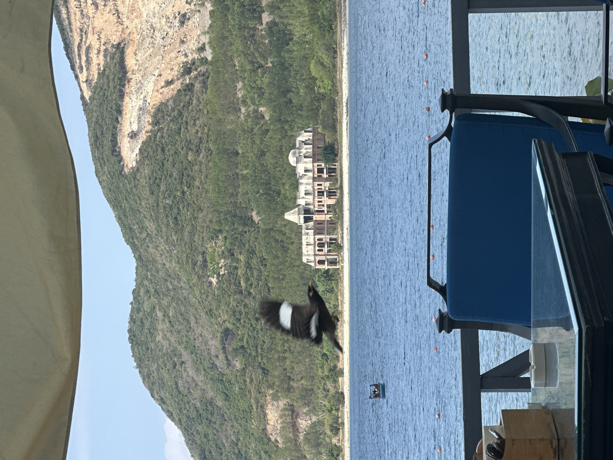 The image presents a vibrant coastal scene captured from a low vantage point, likely from a boat or a waterside platform. The composition is horizontally split, with a calm body of blue water occupying the left side of the frame and a lush, green mountain dominating the right.
In the foreground, at the bottom of the image, parts of the viewer's immediate surroundings are visible. A light-colored fabric awning curves into the bottom-left corner. On the bottom-right, a blue cushioned seat and dark metal railings suggest a comfortable viewing spot.
The expansive body of water on the left features several small orange buoys floating on its surface. Further out, a small, rectangular boat with a single occupant is visible. A bird, distinctive with its black and white plumage, is captured in mid-flight, appearing blurred by its motion, positioned centrally between the water and the mountain.
On the right side of the image, a large, steep mountain rises dramatically, covered almost entirely in dense green vegetation. Sections of rocky terrain are also visible. At the foot of the mountain, along a narrow strip of shoreline separating it from the water, stands a substantial, multi-story building complex. Its architecture, characterized by exposed concrete and structural frames, gives the impression of an unfinished or abandoned resort, crowned by a prominent domed section.
The scene is bathed in bright daylight, indicating clear and sunny weather. There is no visible text in the image. The overall impression is one of a tranquil yet dynamic coastal environment.
