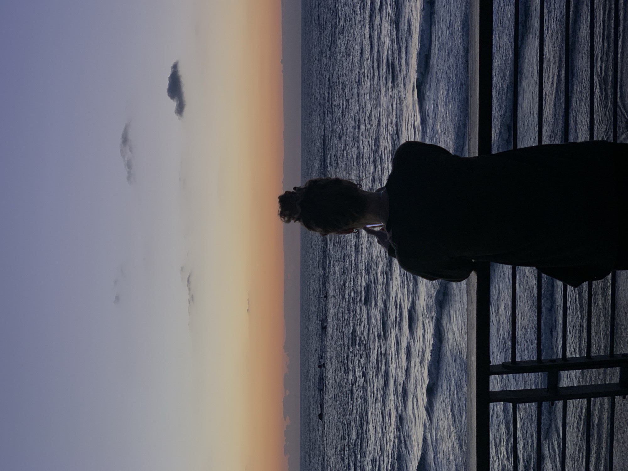 A woman stands on a wooden boardwalk at sunset, looking out at the sea in Tel-Aviv, Israel. The sky transitions from purple to orange. The sea is a dark, textured blue. A few dark clouds are in the sky. The woman has her hair up in a bun and is silhouetted against the scene. A railing is on the right side of the image.