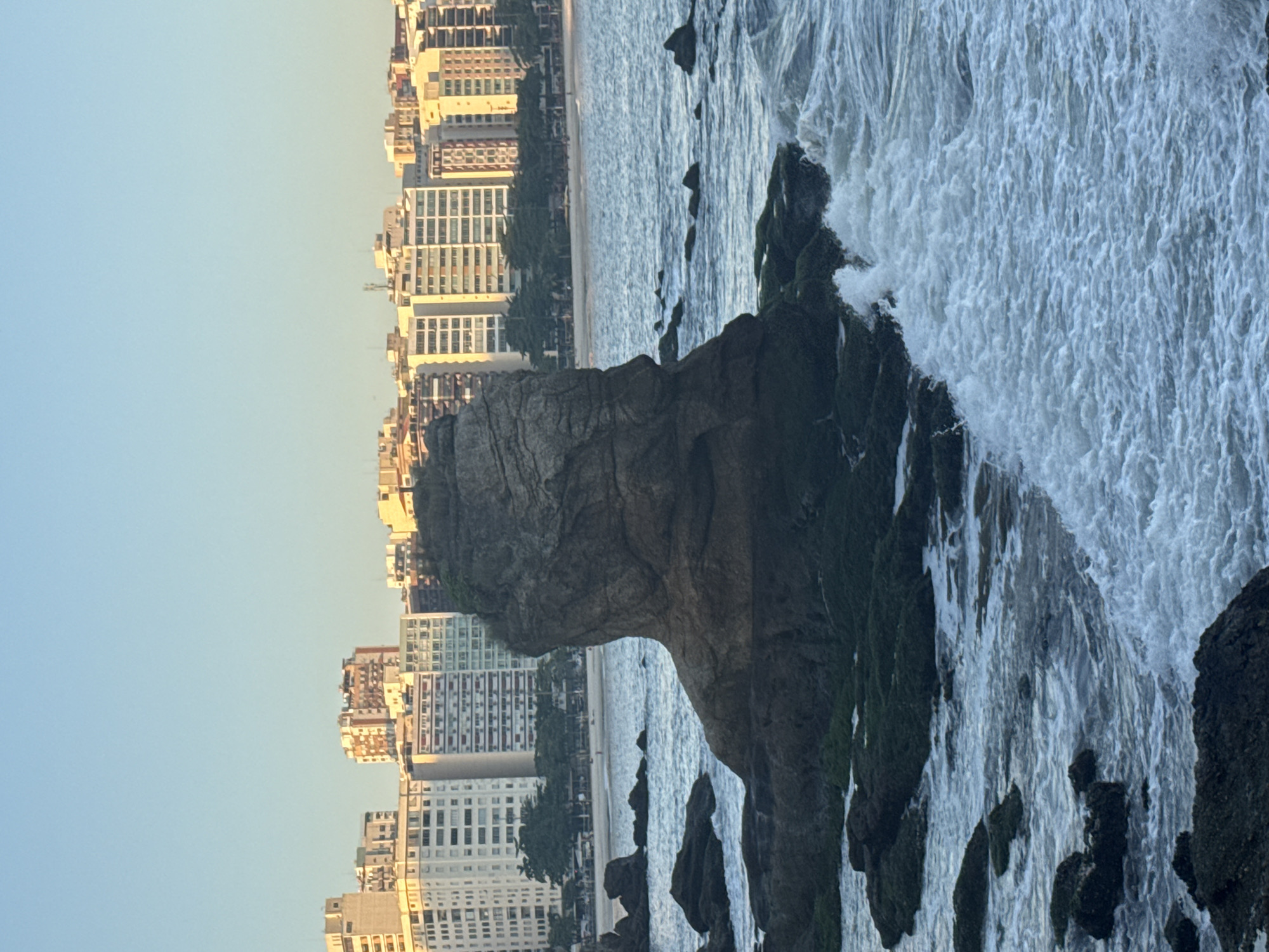 The image captures a view of the coastline in Niterói, Brazil, with a prominent rock formation in the foreground. The rock, which resembles a human profile, is partially covered in dark green moss and sits amidst choppy, blue water. Waves crash against the rocks, creating white foam. In the background, a sandy beach is visible, lined with palm trees and a backdrop of multi-story residential buildings. The sky is clear and a light blue, suggesting it's either early morning or late afternoon. There are no people clearly visible in the foreground or on the rocks, though there are distant figures on the beach. The overall scene depicts a natural coastal landscape juxtaposed with urban development.