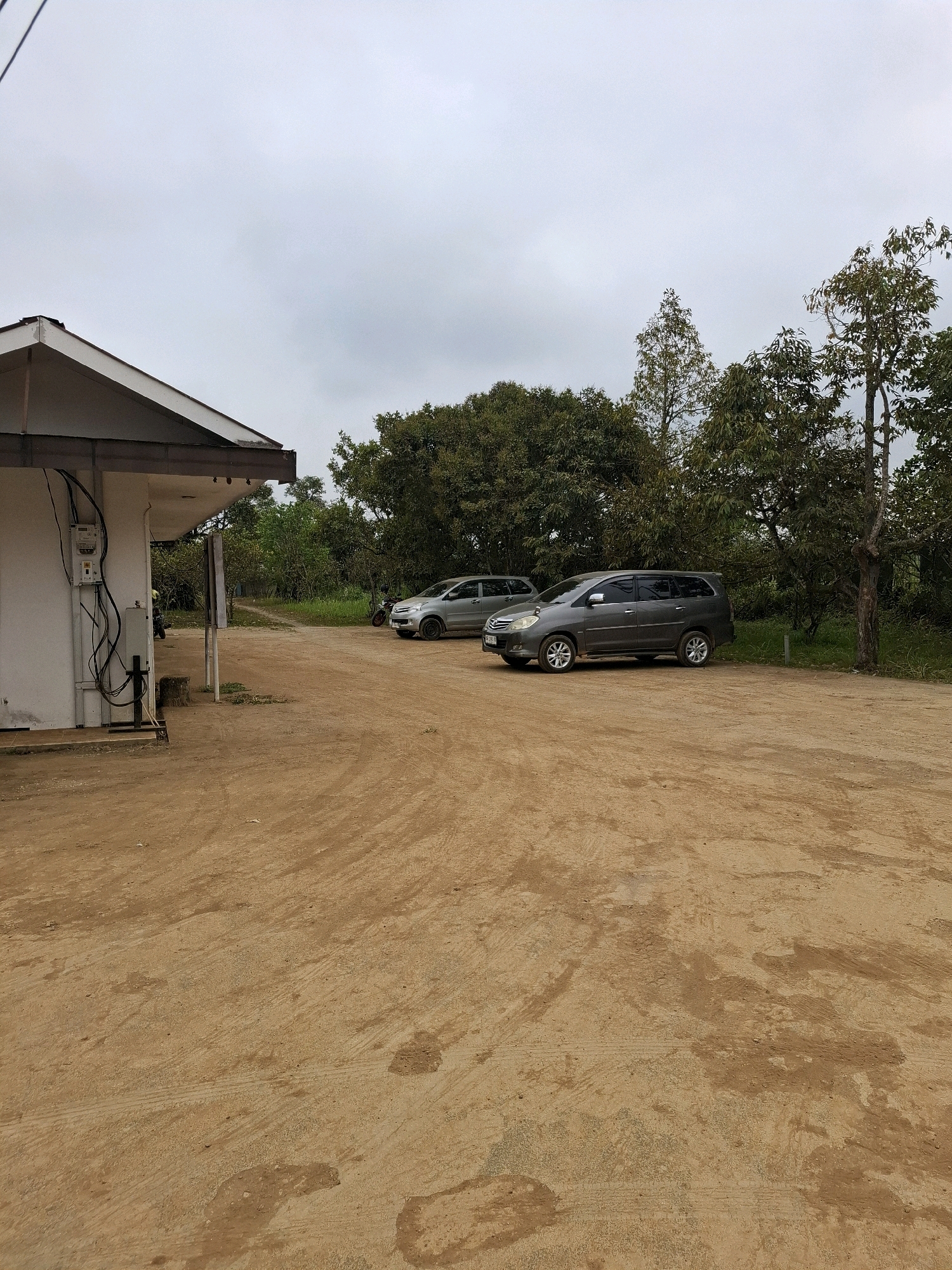 The image depicts an outdoor scene at an unidentified location, likely in or near Ciheulang Tonggoh, Indonesia, given the context. The foreground is dominated by a large expanse of tan-colored, dusty ground, marked with tire tracks and some damp patches. To the left, a portion of a white building is visible, featuring a white-tiled roof with dark trim. Electrical wiring and a meter box are mounted on the exterior wall of the building.
In the middle ground, two cars are parked on the dirt surface. The car closer to the viewer is a dark gray minivan, and to its left is a lighter colored SUV. Behind the vehicles, a dense line of lush green trees and foliage forms the backdrop, with a few taller, sparser trees interspersed. The sky above is overcast with a uniform light gray hue. The overall impression is of a rural or semi-rural setting, possibly a parking area adjacent to a building, under a cloudy sky. No people are clearly visible in the frame.