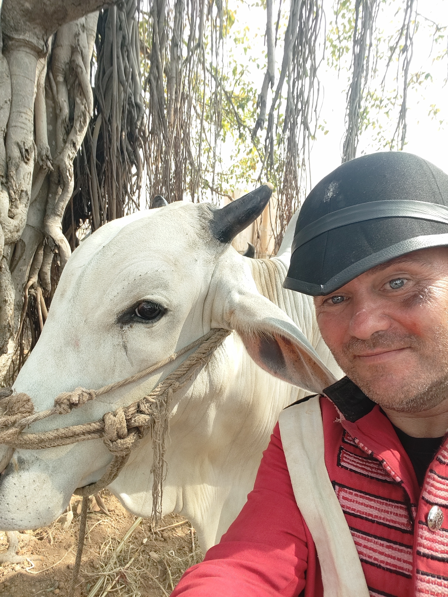 The image shows a man in a red uniform and a black helmet, standing next to a white cow with a rope halter. The man is looking at the camera with a slight smile. The cow is looking to the left. They are standing in an area with dirt and dry grass. A large tree with many aerial roots is visible behind them. Based on the location information, this is likely Lakshmipuram, India.