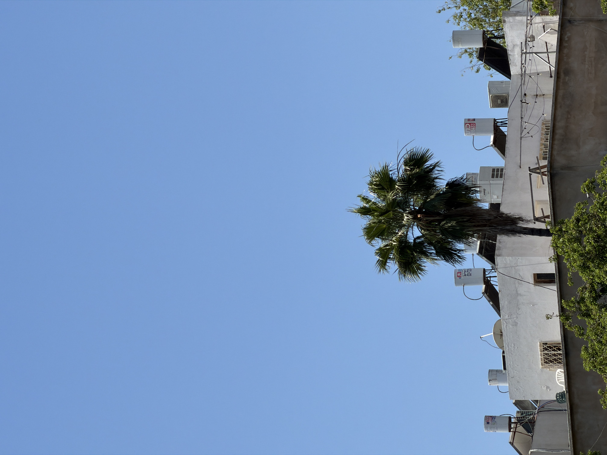 A low-angle shot depicts a blue sky with a palm tree and a building in Tel Aviv, Israel. The building is white and has several air conditioning units, satellite dishes, and water tanks on its roof. There are trees visible along the right side of the building. The palm tree is centrally located to the sky and building.
