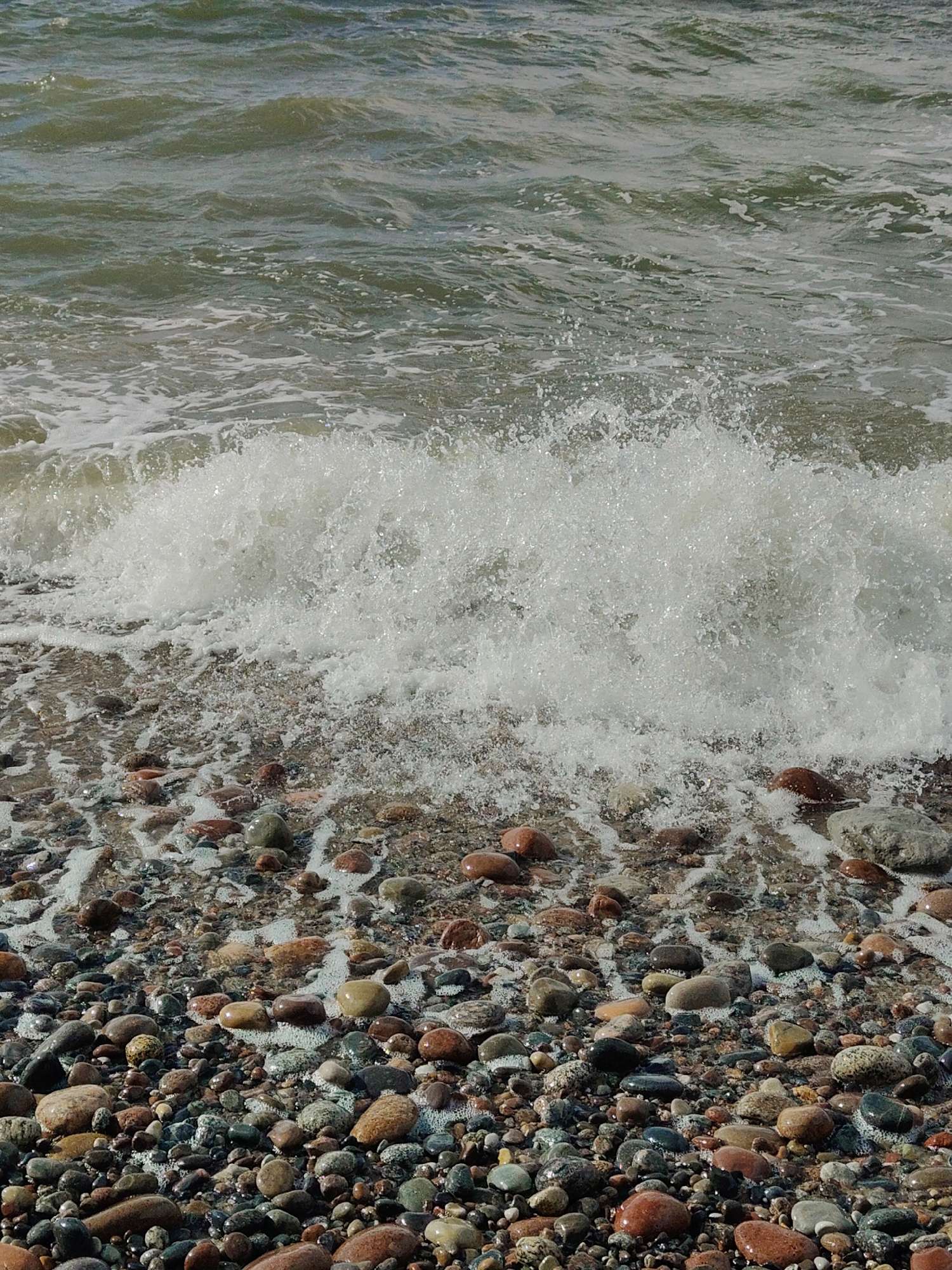 The image shows a close-up view of a pebbled beach in Pionersky, Russia, with a wave crashing onto the shore. The water is a murky green-brown color and choppy, with white foam visible as the wave breaks. The pebbles on the beach are varied in size, shape, and color, ranging from small, dark stones to larger, smoother, reddish-brown and grey rocks. Some of the pebbles are wet and shiny from the incoming water. The scene is entirely natural, with no human figures or man-made objects visible. The lighting suggests it is daytime, possibly overcast.