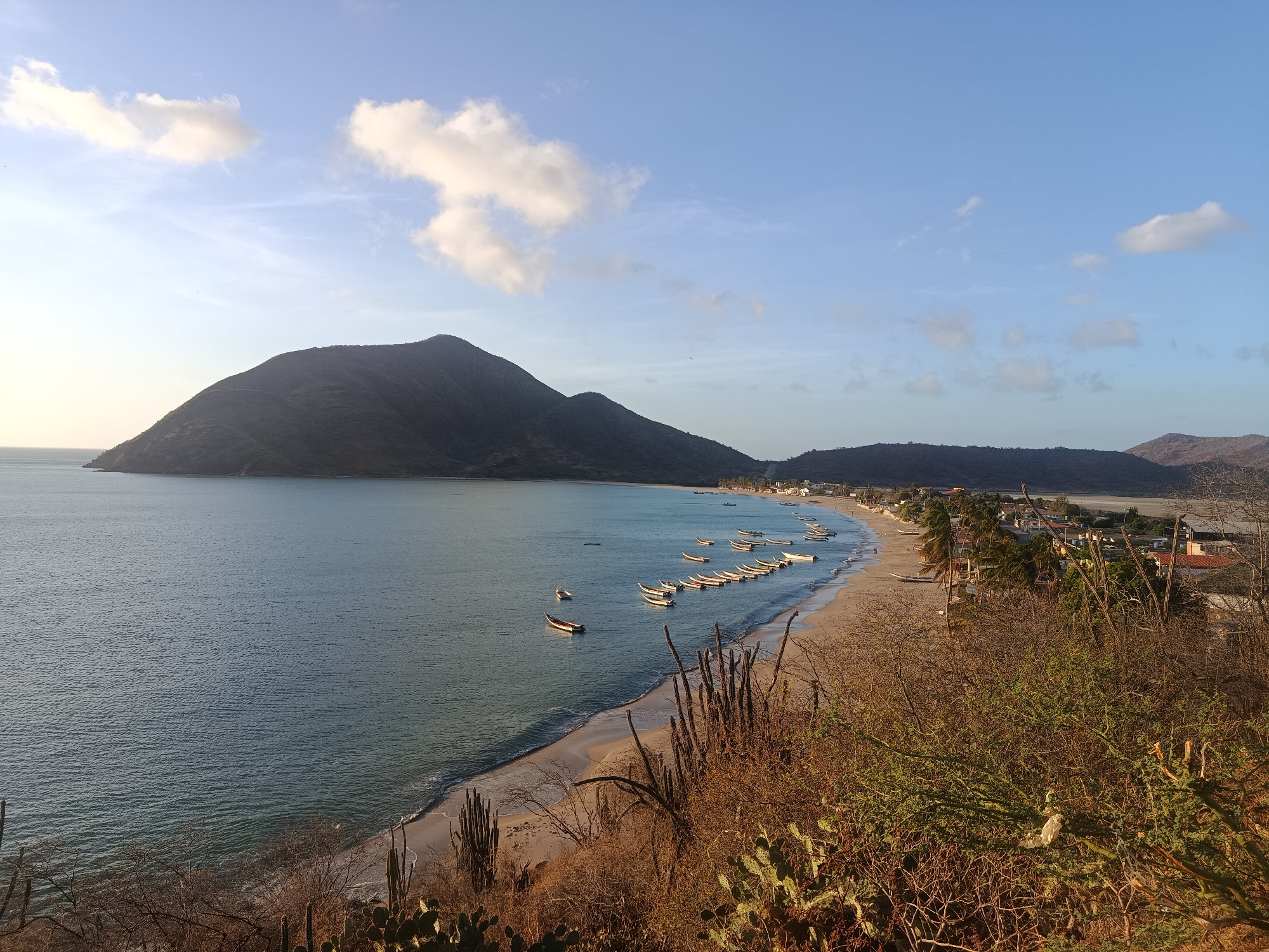 The image captures a panoramic view of Juan Griego, Venezuela, specifically its bay. A prominent mountain dominates the left side of the scene, extending towards the sea, forming the bay's boundary. The turquoise water is dotted with numerous small boats anchored near the shoreline. A sandy beach stretches along the coastline, lined with buildings and palm trees, indicating a populated area. In the foreground, dry vegetation, including cacti and scrub bushes, covers the hillside, giving a sense of the local climate. The sky is clear with scattered clouds, suggesting a sunny day.