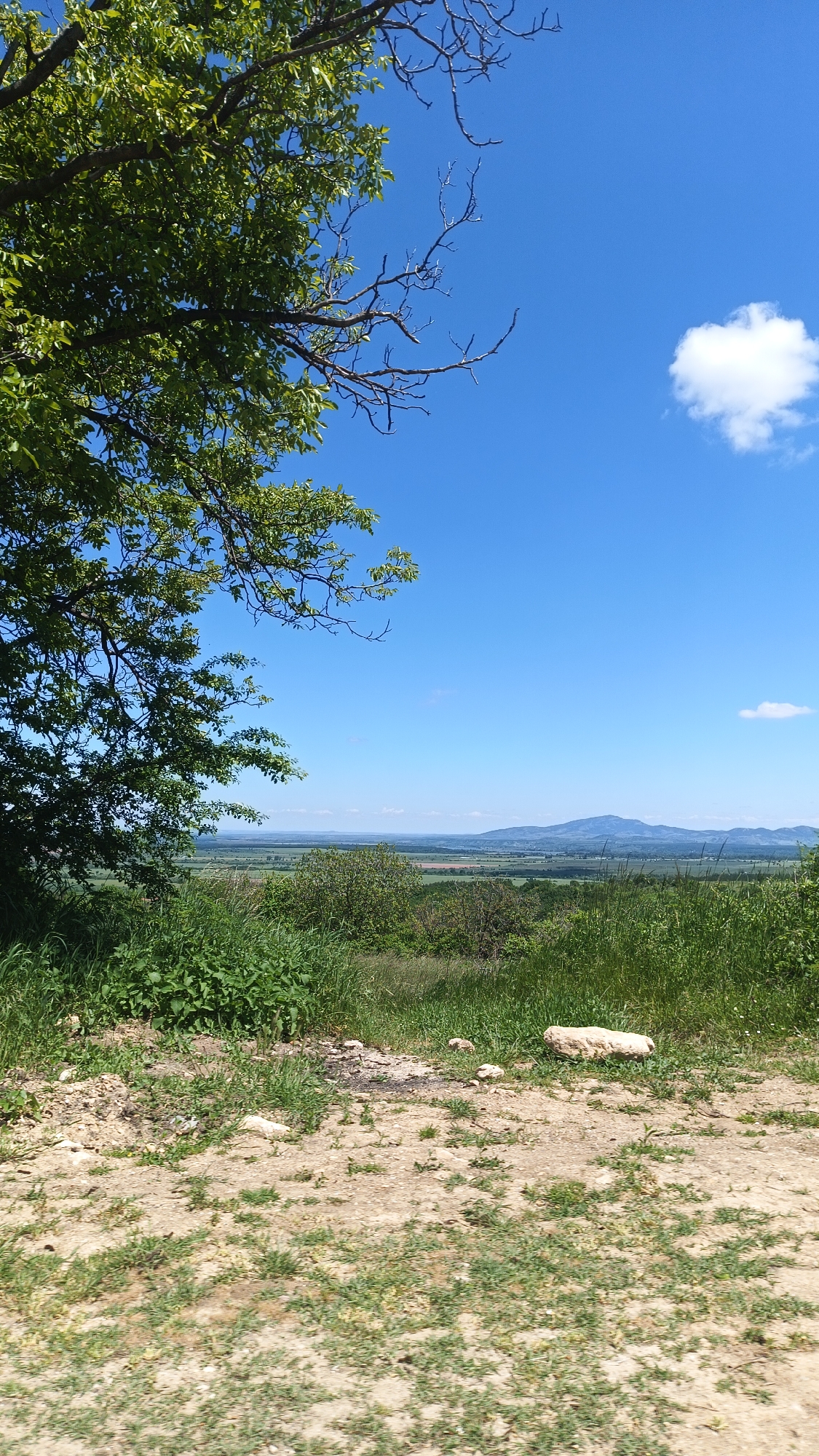 The image depicts a landscape near Gornoslav, Bulgaria. The foreground is dominated by a dirt and gravel path, sparsely covered with grass. Beyond the path is a patch of green vegetation, including tall grasses and leafy plants. In the midground, the terrain slopes down to a valley with fields and patches of greenery. In the distance, a mountain range is visible on the horizon under a clear blue sky with a single white cloud. A tree with green leaves occupies the upper left portion of the image, with some bare branches extending into the sky.