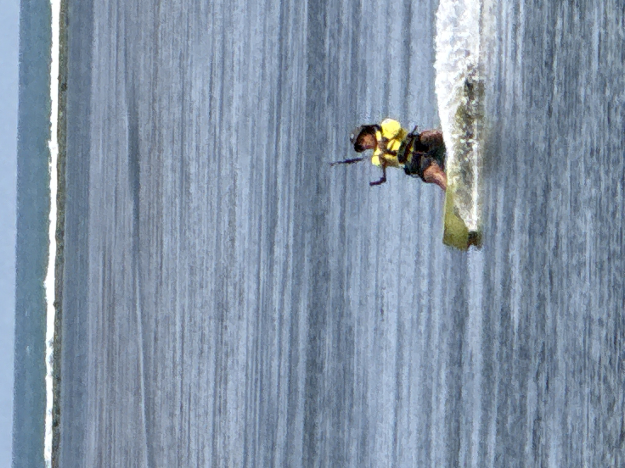 An individual kiteboarding moves across a body of water, creating a white wake behind their board. The person is wearing a yellow life vest and a dark helmet, and is holding onto a kite bar with lines extending upwards. The water is a deep blue with horizontal ripples, and in the distance, a lighter blue sky meets a dark blue sea, with a white line indicating waves crashing on a shore. The overall scene appears to be an outdoor recreational activity taking place at sea.