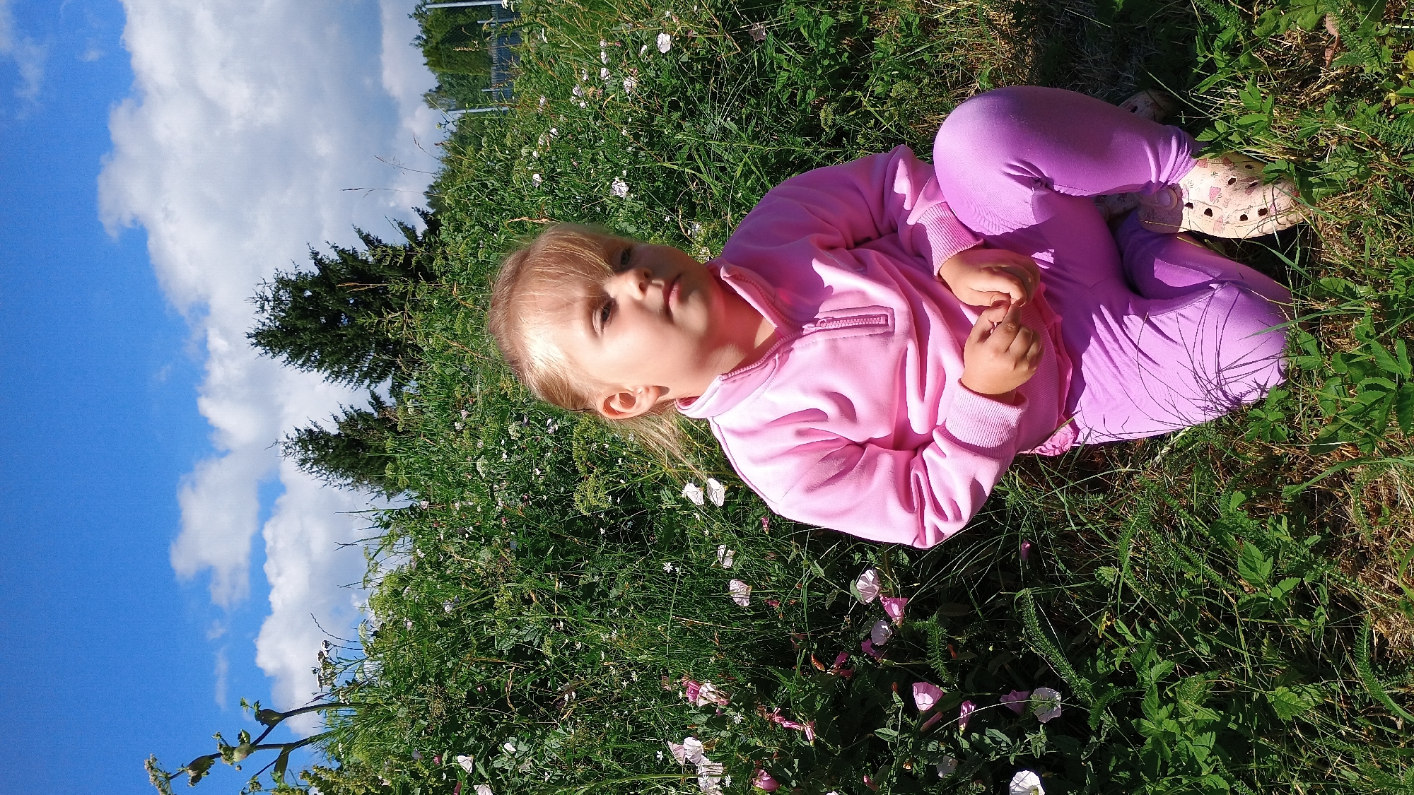 A young girl with blonde hair, wearing a pink zip-up sweatshirt and purple leggings, is crouching in a grassy area with blooming pink and white flowers. She is looking slightly down and to the right with a neutral expression. Behind her, a dense green bush forms a backdrop, with two dark green evergreen trees visible in the distance. The sky above is a clear blue with scattered white clouds. The scene appears to be an outdoor natural setting, possibly a park or a garden in Sokolov, Czechia.