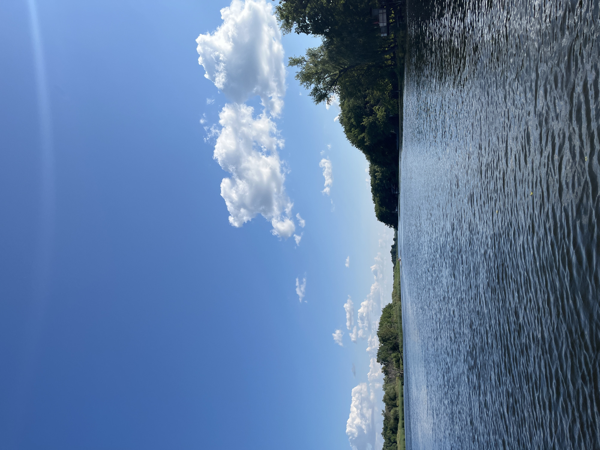 The image depicts a wide, calm river under a bright blue sky dotted with fluffy white clouds. The riverbanks are lined with lush green trees, with dense foliage on the right side and more sparse vegetation on the left. The water is dark and shows gentle ripples, reflecting the sky. In the distance, there are hints of structures or buildings nestled amongst the trees on the right bank. There are two small boats visible on the water, one further away and one closer to the left bank. No people are clearly discernible in the image. The scene conveys a tranquil natural environment. Based on the imagery, this location could be a river in the Volga region, and if this image is indeed of Saratov, Russia, it likely depicts a section of the Volga River.