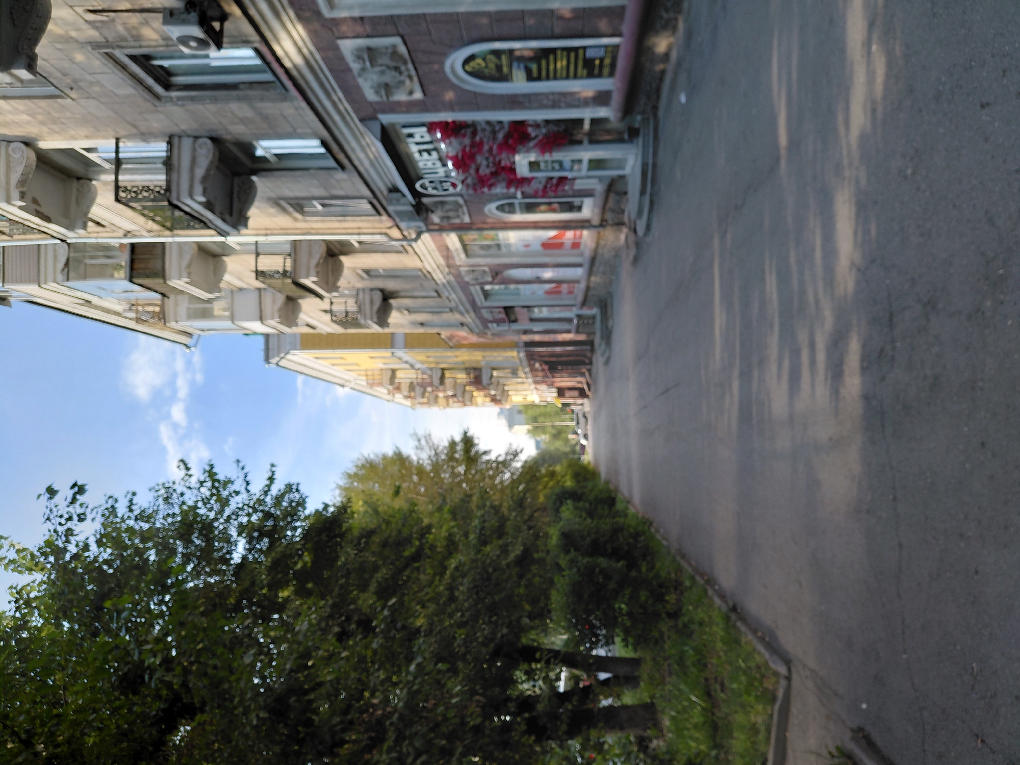 The image depicts a street scene in Novosibirsk, Russia. On the right side of the frame is a multi-story building with a facade of light-colored stone blocks. Several windows and balconies with ornate railings are visible. Below the windows, there are storefronts. One storefront has a sign with Russian text that appears to read "ЦВЕТЫ," meaning "flowers," and a decorative display of red branches. On the left side of the image, there is a sidewalk lined with a row of mature trees with dense green foliage. Beyond the trees, there is grass and some low bushes. The street itself is paved with asphalt and has faint shadows cast on it from the trees. The sky above is blue with scattered white clouds. In the background, further down the street, other buildings and a vehicle are faintly visible, suggesting an urban environment. The lighting indicates it is daytime, possibly late afternoon given the angle of the shadows.