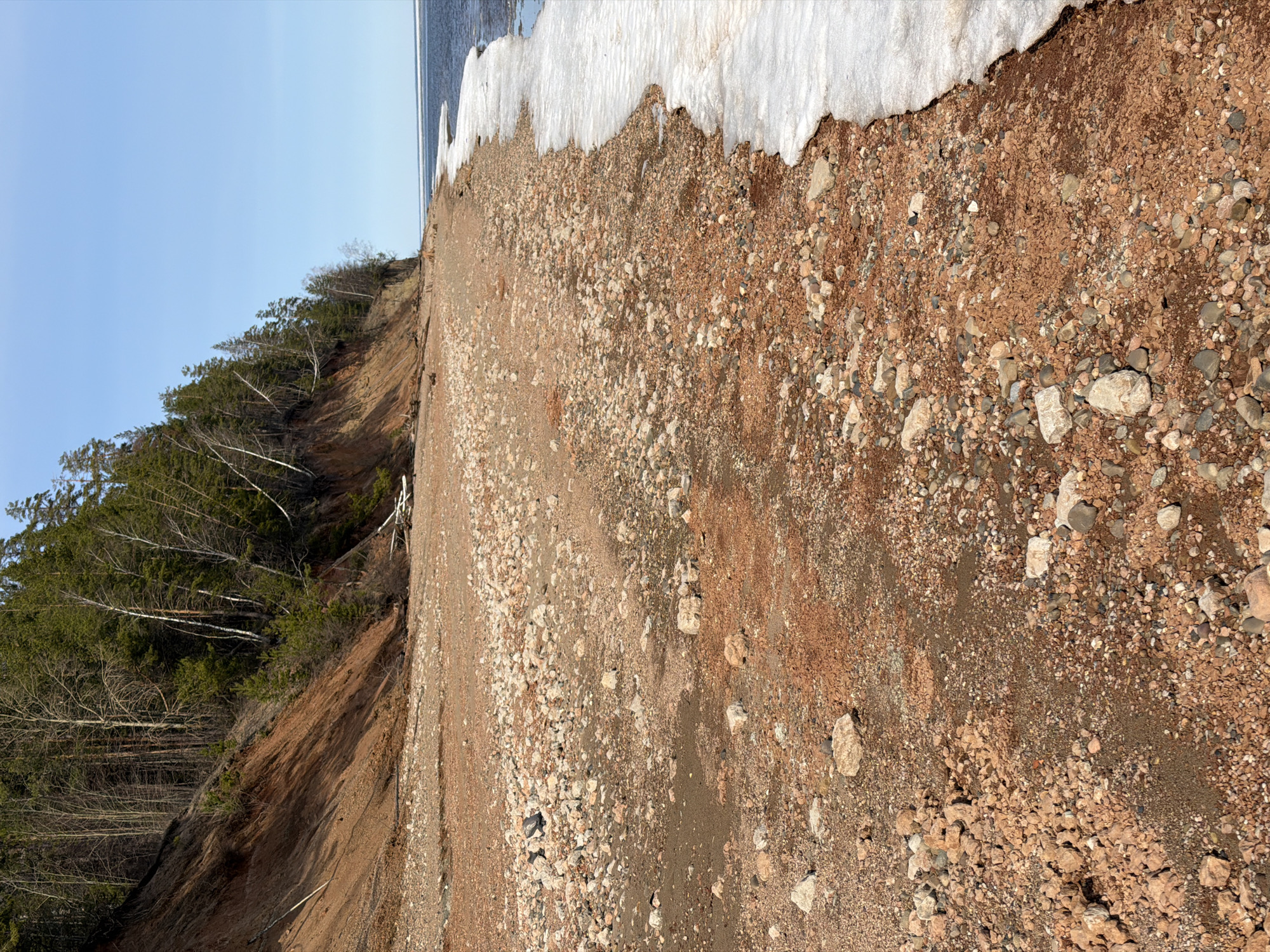The image depicts a rugged shoreline, likely in the vicinity of Noviy, Russia, as requested. The foreground is dominated by a coarse terrain of reddish-brown soil mixed with various sized rocks and pebbles. Patches of melting snow are visible along the upper edge of the shoreline. A steep, eroded embankment descends to the left, covered with a dense forest of trees with bare branches, indicating a late winter or early spring season. A body of water, possibly a lake or river, borders the shoreline with clear blue sky above. The overall impression is of a natural environment with evidence of erosion and seasonal change. No people or animals are visible in the scene.
