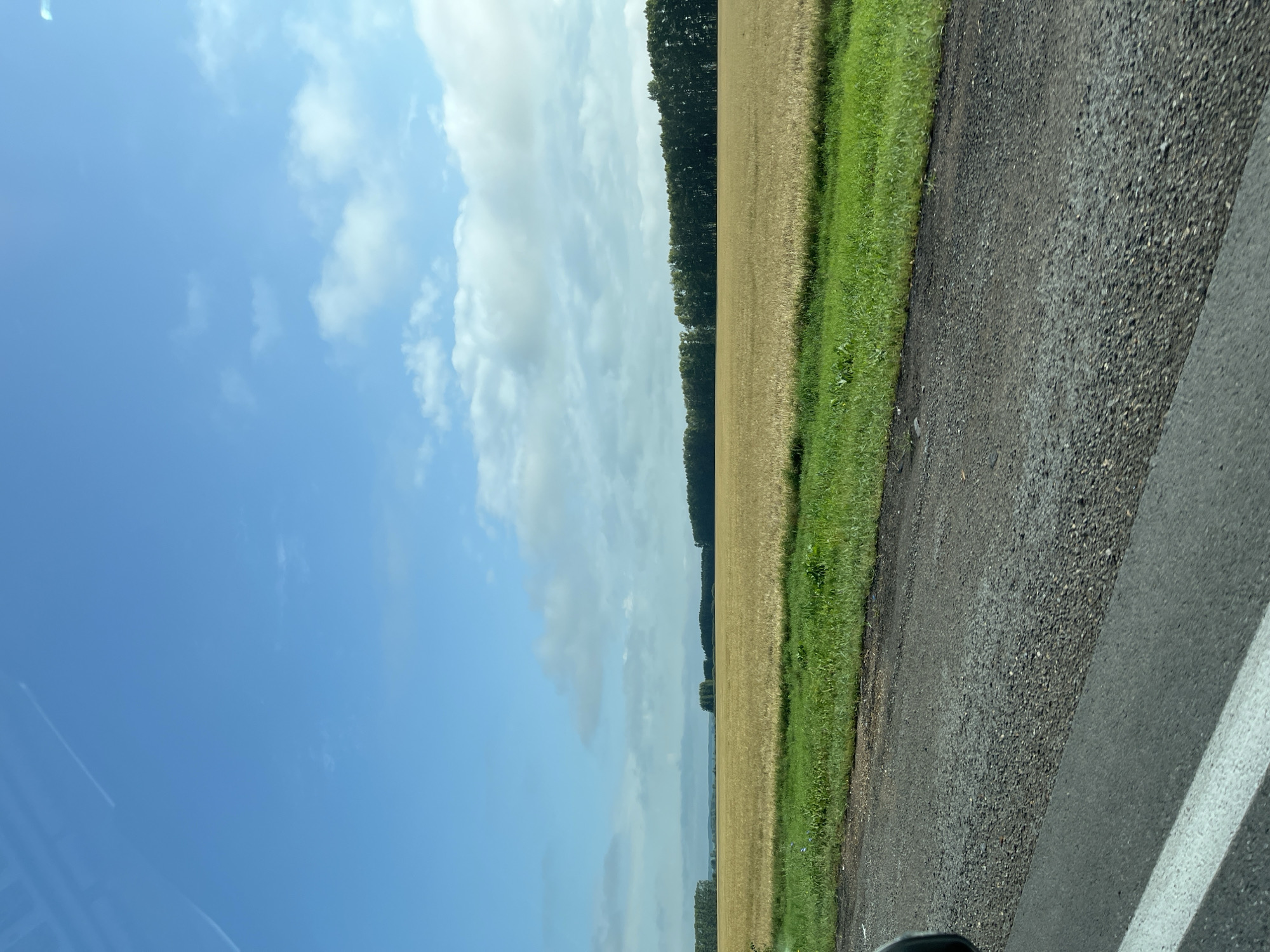 A wide-angle, vertical outdoor shot captures a rural scene on a clear, cloudy day. The foreground is dominated by a section of grey asphalt road, with a white line on the left. Adjacent to the road is a strip of vibrant green grass, which then gives way to a vast, golden-yellow field of ripe wheat or similar grain that stretches to the horizon. A dense line of dark green trees forms a natural border along the far edge of the field. The sky above is a bright blue, interspersed with scattered white clouds. The overall impression is of a tranquil agricultural landscape in the countryside.