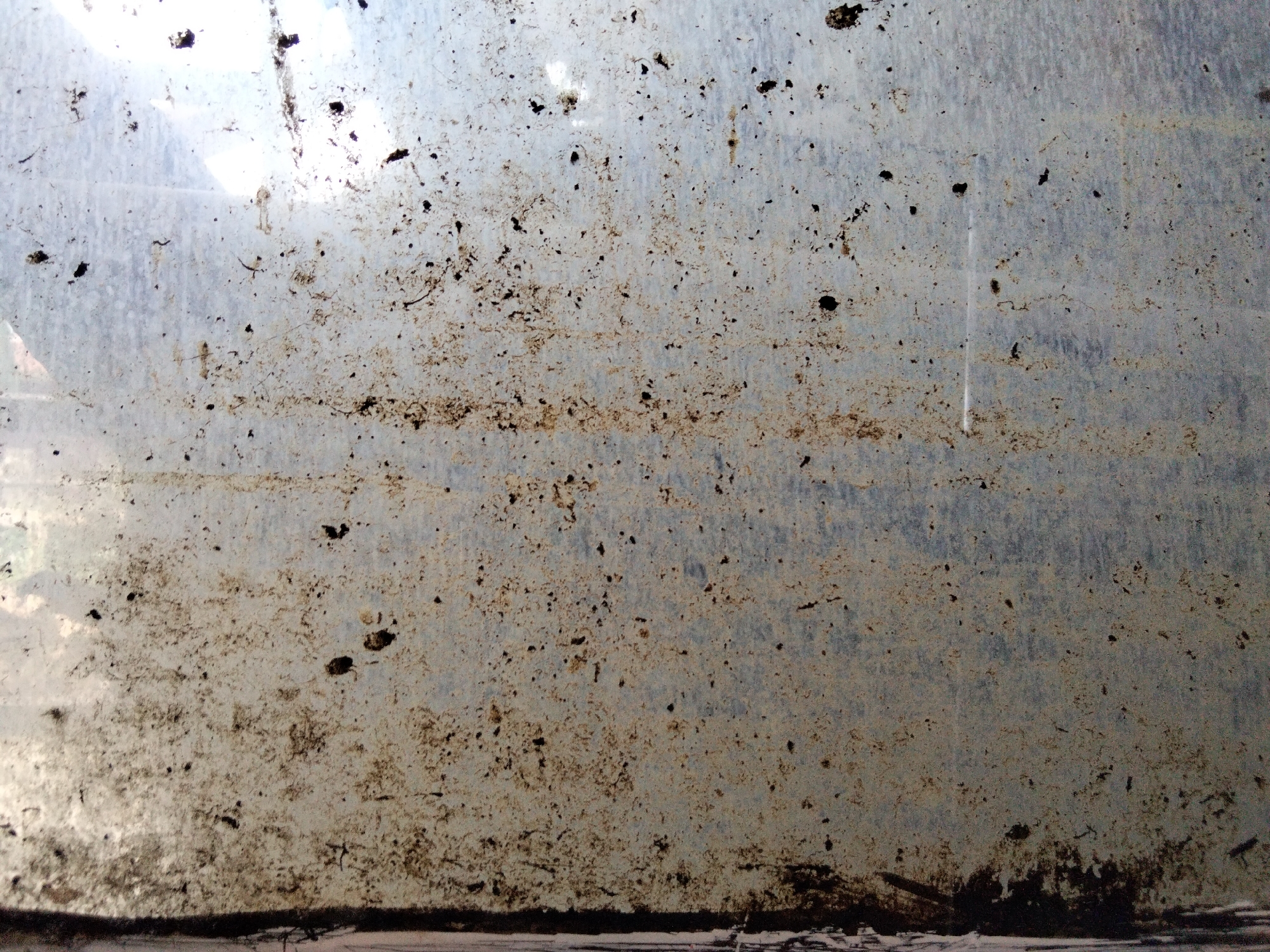 The image is a close-up, high-angle shot of a dirty windowpane. The window is covered in a thin layer of dirt, dust, and debris, with several larger clumps of grime scattered across the surface. The dirt is a mixture of brown and black particles, creating a mottled and textured appearance. There are also some faint smudges and streaks visible on the glass.
The background visible through the window appears to be a bright, overcast sky, with some hazy shapes that could be trees or buildings in the distance. The overall lighting is diffused and appears to be coming from above. There is a dark, horizontal band at the bottom of the image, suggesting the presence of a window frame or ledge.
Given the context provided by the prompt, this window could be part of a building located in Buleleng, Buleleng Regency, Bali, Indonesia, a region known for its tropical climate and outdoor living which can lead to windows becoming soiled with dust and debris. This specific image captures a common environmental condition, particularly after a period of dry weather or exposure to outdoor elements.