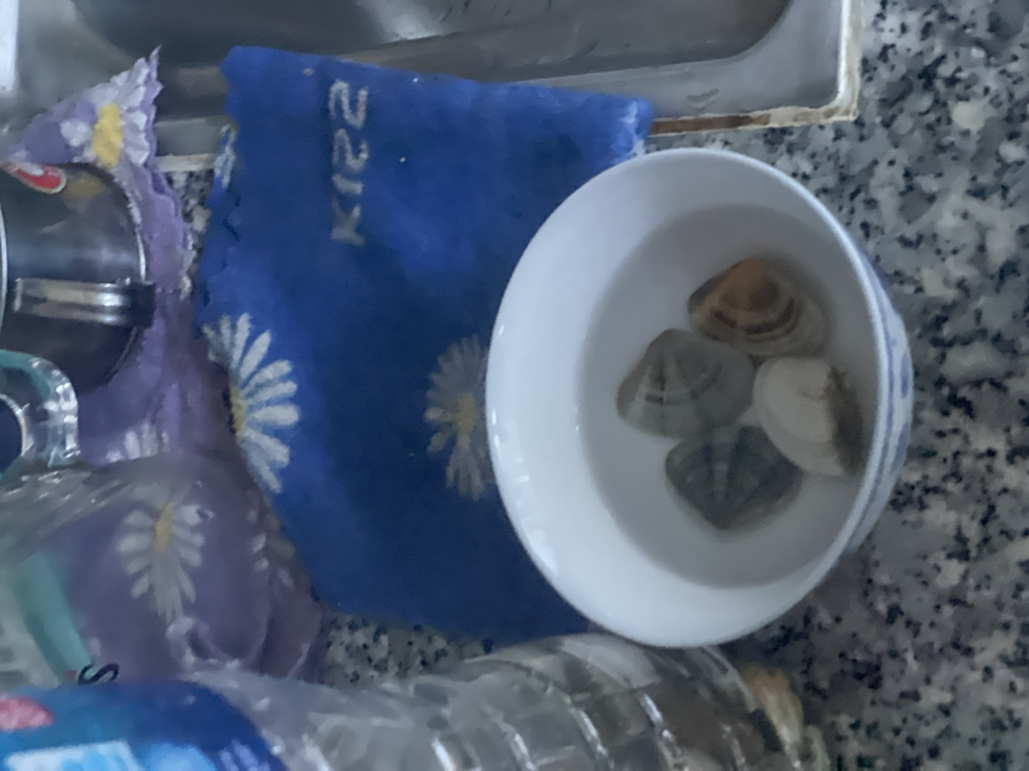 A white ceramic bowl containing four clams submerged in water sits on a speckled granite countertop. To the left of the bowl is a plastic water bottle. A blue cloth with a white daisy pattern and the word "KISS" printed on it is positioned behind the bowl, partially obscuring a purple cloth with a similar daisy pattern. In the background, a stainless steel appliance is visible. The scene is likely located in a kitchen or food preparation area in Phan Thiet Ward, Vietnam.