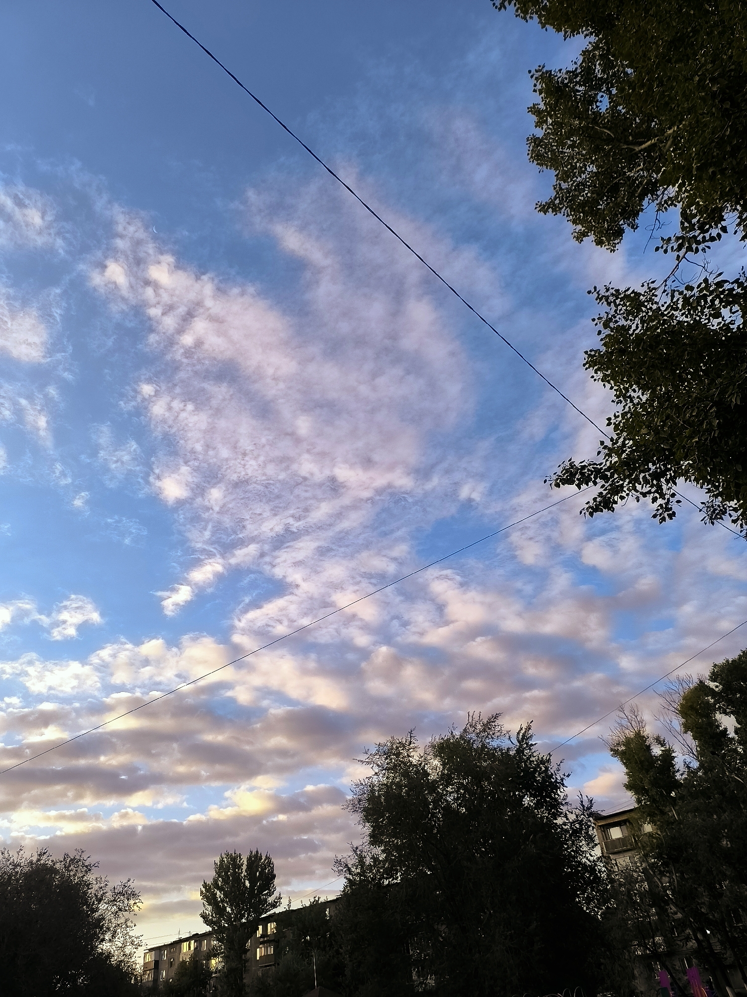 This image captures a dusky sky above a residential area in Qarağandı, Kazakhstan. The sky is a gradient of blue, transitioning to hues of pink and orange as clouds drift across. A thin crescent moon is visible in the upper left portion of the frame. Power lines traverse the sky, bisecting the scene diagonally. Silhouetted against the sky are the dark canopies of trees, some with visible leaves, and the upper floors of apartment buildings. The windows of the buildings appear lit, suggesting habitation. The overall impression is of a calm, late-day urban environment.