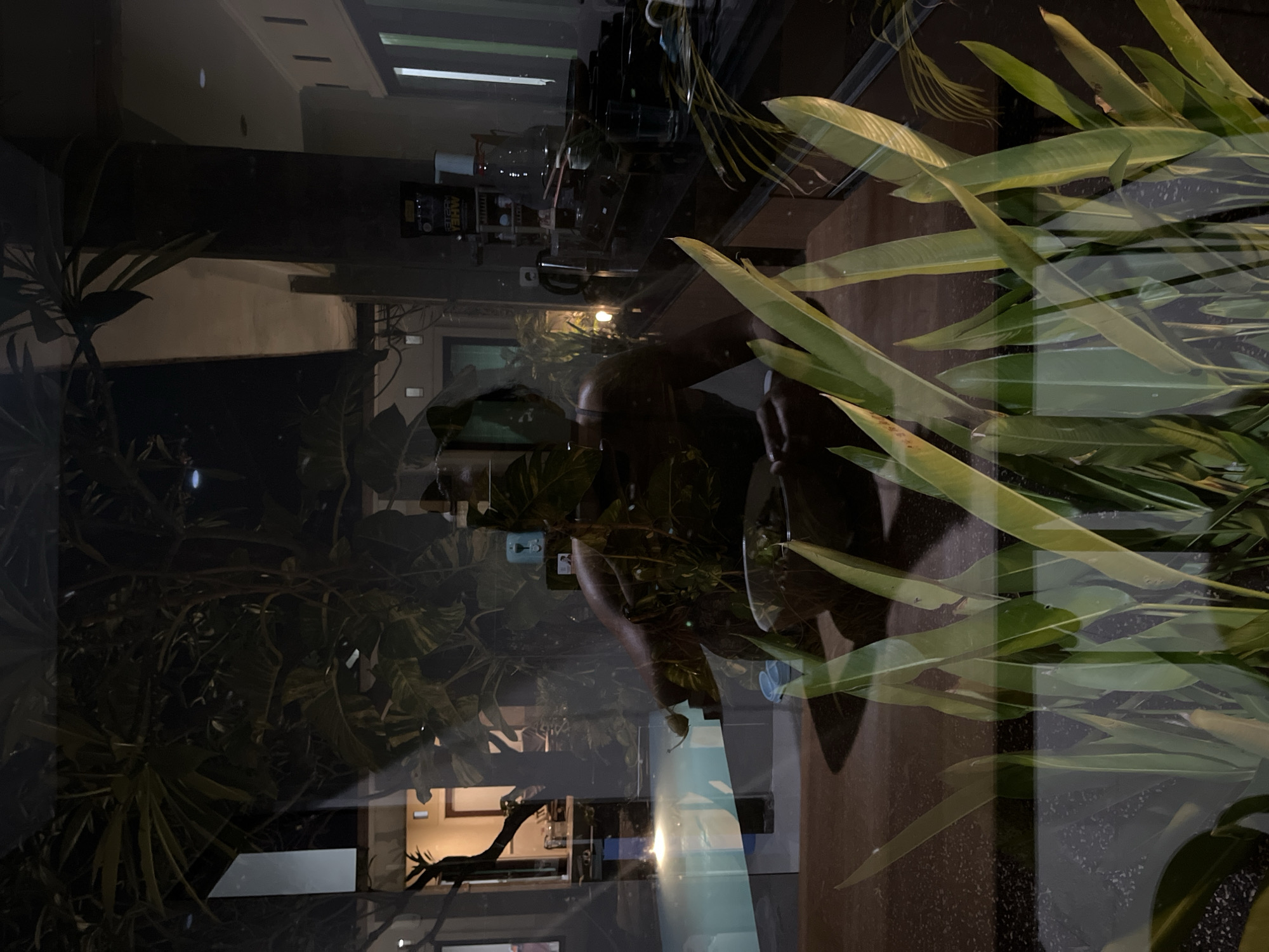 The image shows a reflection of a person sitting at a table with plants in the foreground. A building is visible in the reflection. The location is Unknown, Indonesia. The reflection shows a person seated. The foreground shows greenery. The scene is dimly lit.