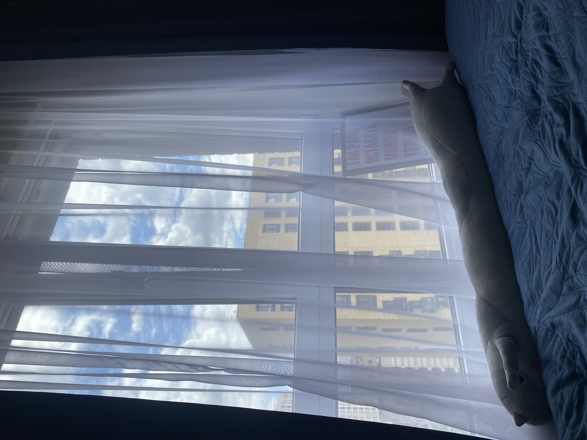 The image captures a cozy bedroom scene from a high-rise apartment window, overlooking a cityscape. The foreground features a plush, elongated stuffed animal resting on a blue quilted bedspread, its head facing the left and its tail extending towards the right. Behind the bed, sheer white curtains are drawn, allowing a view of the outside. Through the sheer fabric, two large, multi-story buildings with a yellowish-brown brick facade and dark windows are visible. The sky is partly cloudy, with patches of blue peeking through white cumulus clouds. To the right of the stuffed animal, a framed poster with Cyrillic text in red is leaning against the window frame. The overall ambiance suggests a domestic setting within an urban environment. The architectural style of the buildings, particularly the use of brick and the window design, points to a modern residential complex, commonly found in rapidly developing areas of Moscow, Russia.