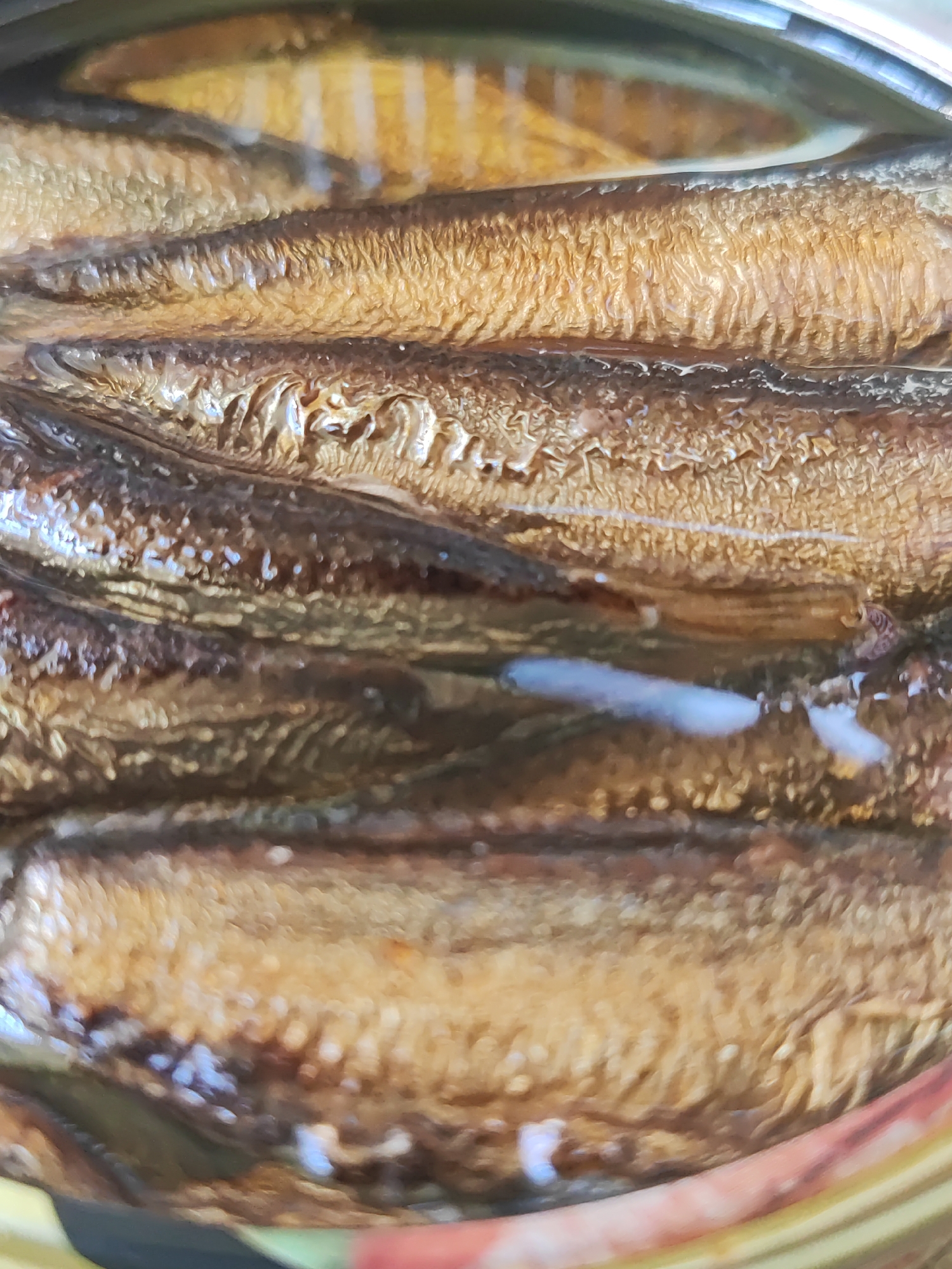 A close-up, top-down photograph captures several small, whole fish tightly packed within a round, metallic can. The fish, appearing to be sprats or sardines, are arranged in parallel rows and have a golden-brown hue, suggesting they are smoked or packed in oil. Their skin exhibits a textured, slightly wrinkled surface. Some light reflections are visible on the oily liquid surrounding the fish. The metallic rim of the can is partially visible at the top and sides, with the background beyond the can being out of focus and indistinct. No specific activity is taking place, presenting a static view of canned food. There are no discernible time of day, weather, or explicit location cues within the image itself, though the provided context is Dagomys, Russia. No visible text is present.