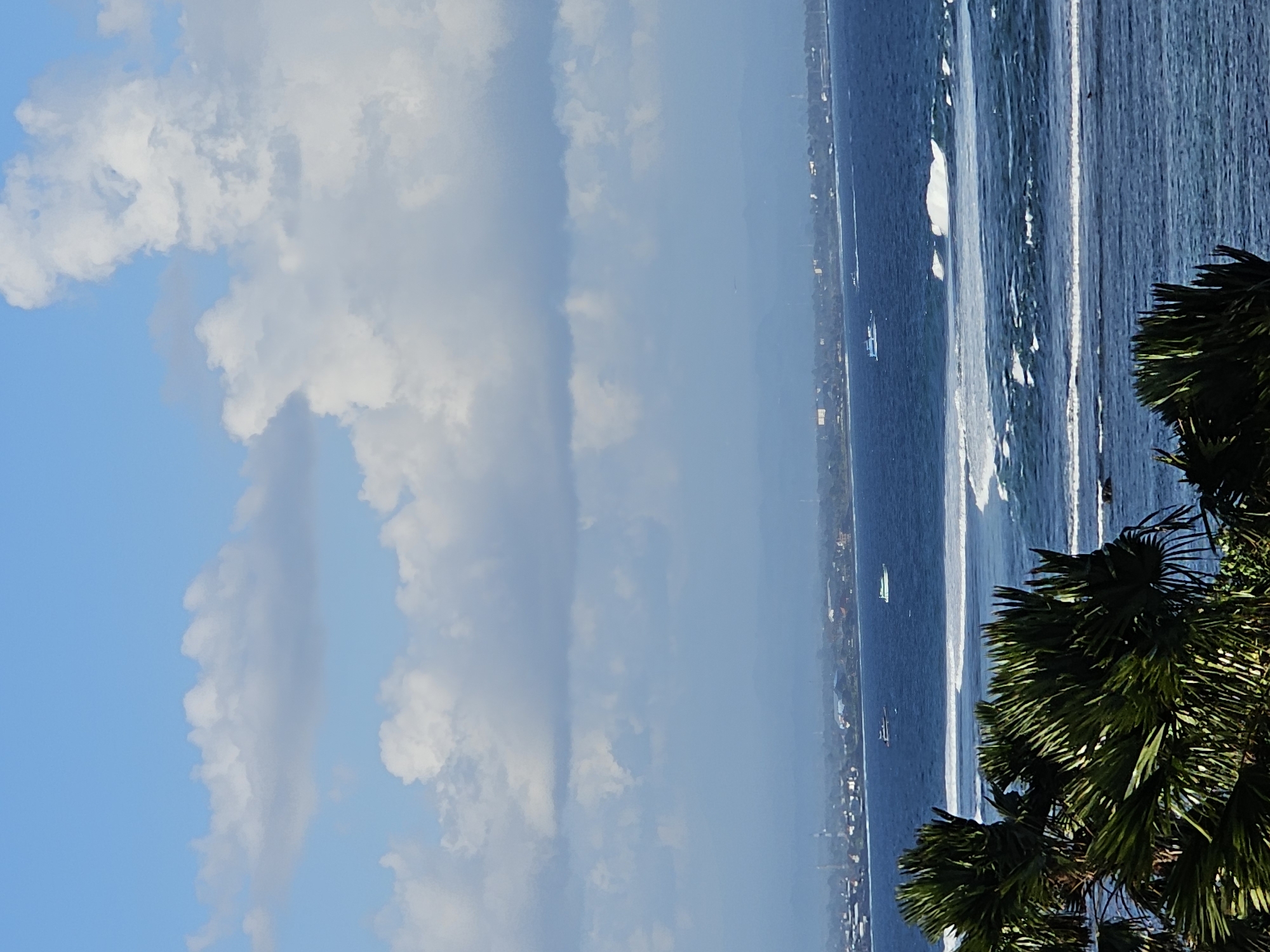 The image depicts a coastal scene with a view of the ocean, a distant coastline, and the sky. In the foreground, lush green palm fronds obscure a portion of the view. The ocean is a deep blue, with white waves breaking closer to the shore. Several boats are visible on the water. A hazy coastline with buildings and vegetation stretches across the middle ground, suggesting a populated area. In the background, distant mountains are visible through a layer of atmospheric haze. The sky is a clear blue with scattered white clouds. The scene appears to be a tropical coastal landscape, possibly in or near Denpasar, Indonesia, known for its beaches and ocean views.