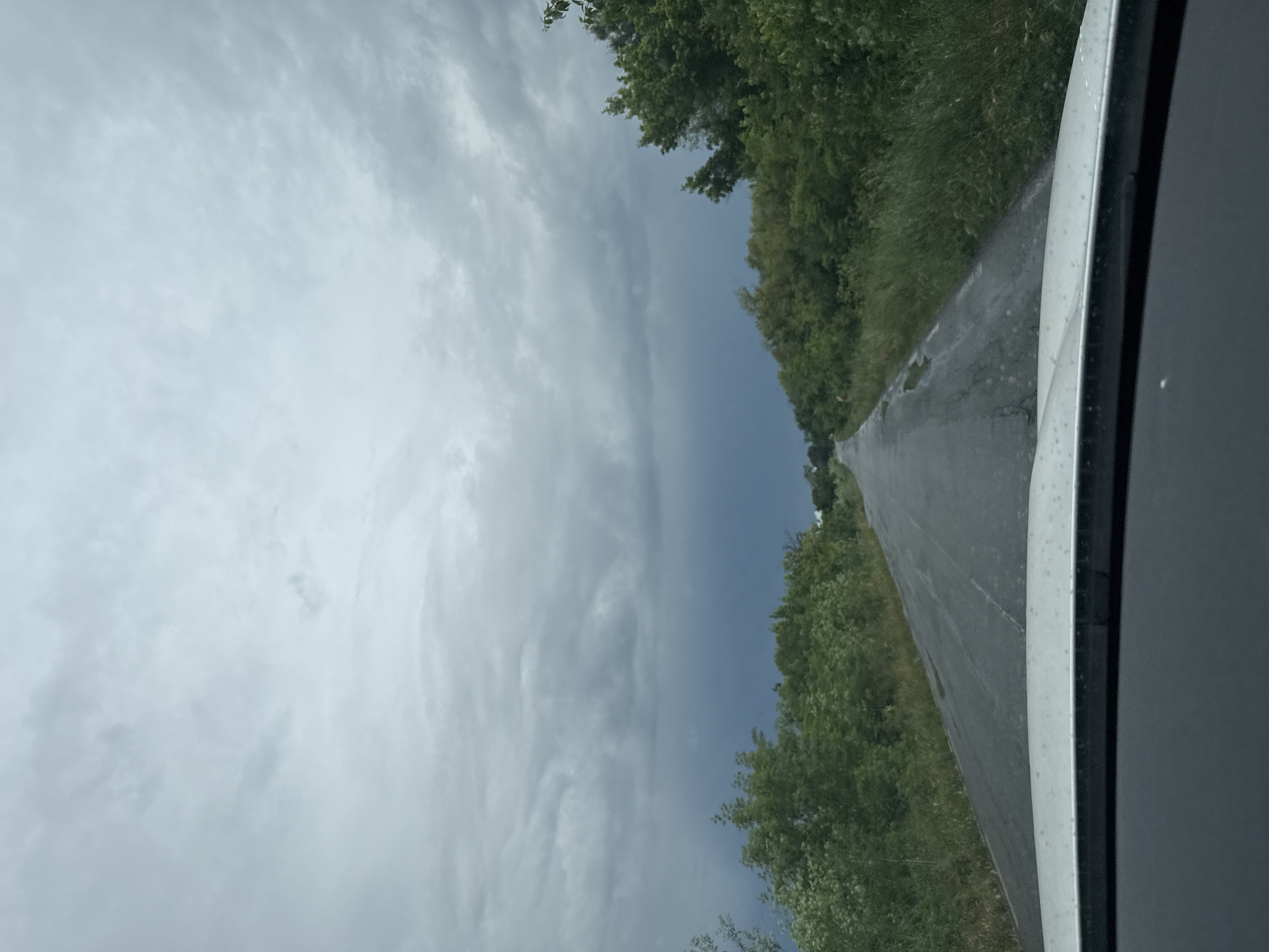 This daytime image, captured in Svoboda, Bulgaria, presents a rural road scene from the perspective of a moving vehicle. A paved, two-lane road, appearing somewhat worn, extends straight into the distance, disappearing at a faint horizon line. Dense green foliage, comprising trees and bushes, lines both sides of the road, creating a natural corridor.
The sky occupies a significant portion of the frame and displays a striking contrast. On the left side, the sky is heavily overcast with voluminous, light gray clouds, indicating cloudy weather. This cloudy expanse abruptly meets a much clearer, darker blue sky on the right side, suggesting a distinct weather front or a rapid change in atmospheric conditions, such as a storm clearing or approaching.
In the immediate foreground, particularly on the right side, a portion of the vehicle's interior frame—likely the dashboard or a window pillar—is visible, confirming the vantage point from inside a car. No people are present in the image, and there is no visible text. The overall scene evokes a sense of travel through a quiet, natural landscape, with the dynamic sky being a prominent and notable detail.