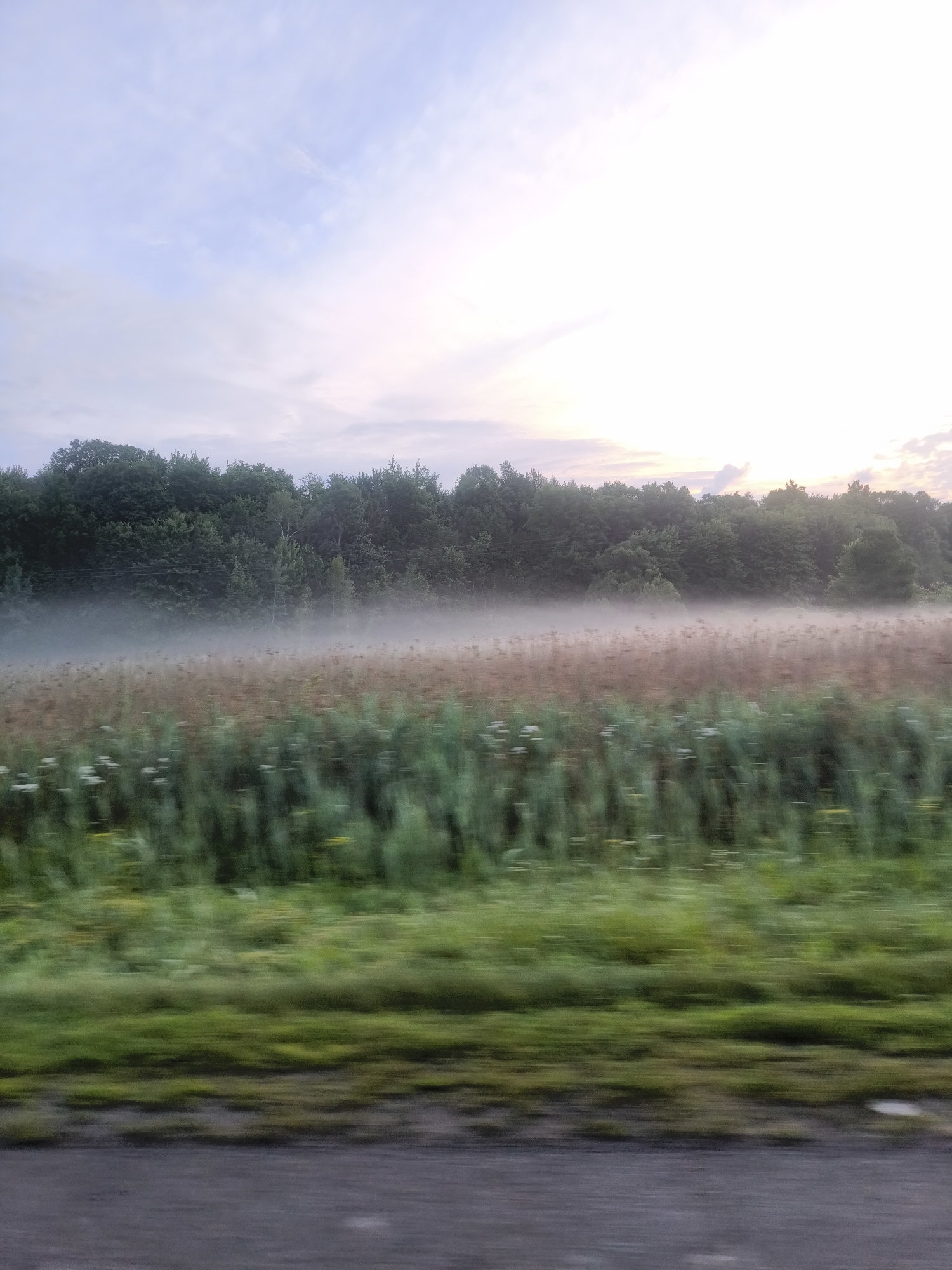 This image depicts a misty field with green vegetation and trees in the background. The sky above is partially cloudy with hues of pink and white, suggesting it may be sunrise or sunset. The lower portion of the image shows a blurred, gray surface, possibly a road or pathway. The location is identified as Vaudreuil-Dorion, Canada. There are no people or visible actions taking place.