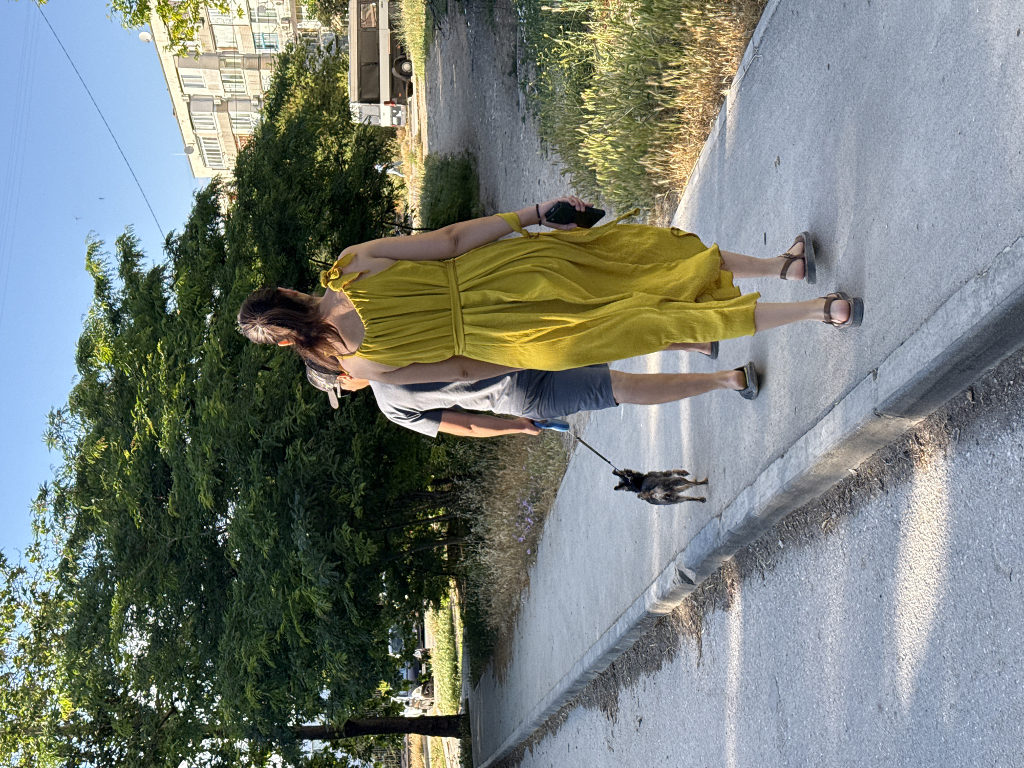Two people and a small dog are walking on a sidewalk next to a street. A woman in a yellow dress is on the right, holding a black phone in her right hand. A man in a grey t-shirt and shorts is to her left, holding a blue leash attached to the dog. The dog is small and dark-colored, walking ahead of them. The sidewalk is bordered by a curb and a grassy area with dry vegetation. Behind the grassy area, there is a street with some parked cars and a white bus. In the background, there are trees and a multi-story building. The sky is clear and blue.