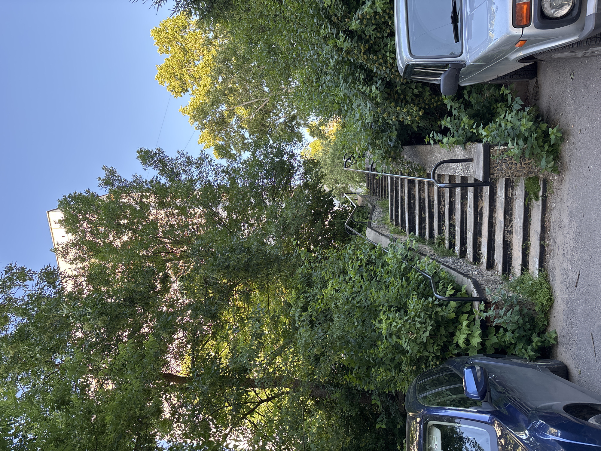A concrete outdoor staircase, flanked by lush green foliage and trees, leads upwards towards a building partially obscured by the dense vegetation. Two cars are parked on the right and left sides of the frame, with a silver SUV on the right and a dark blue SUV on the left. The sky above is a clear, bright blue. This scene is located in Sarov, Russia, likely in a residential area given the presence of parked cars and apartment buildings.