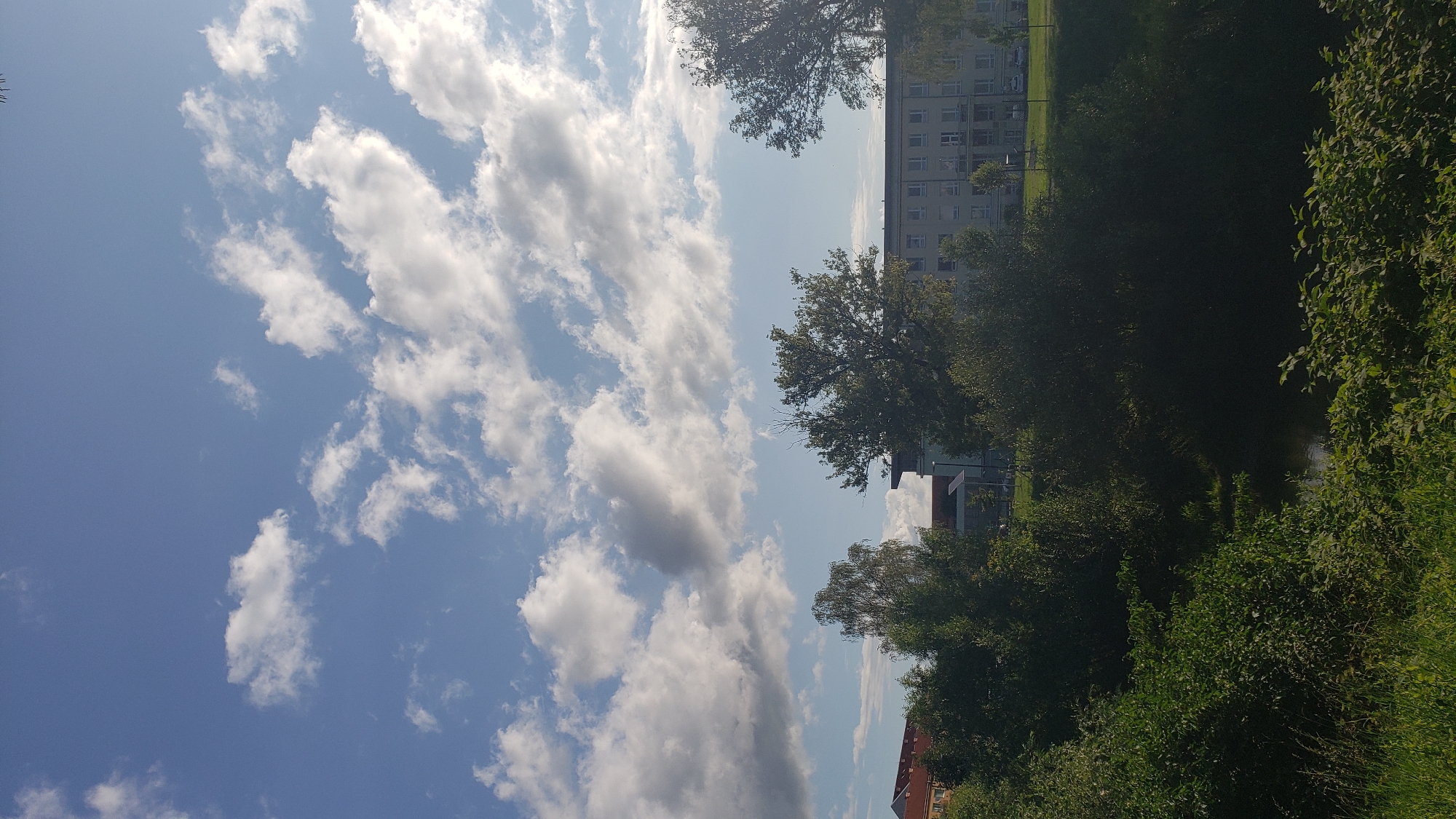 The image captures a view of a building and surrounding greenery in Prešov, Slovakia. In the foreground, lush green grass and bushes line the bottom of the frame. Behind this, a body of water is visible, reflecting the sky. A dense line of trees and bushes forms a natural barrier between the water and the background.
Dominating the middle ground is a multi-story building, appearing to be an apartment complex or dormitory, with numerous windows and balconies. The building's facade is light-colored, possibly white or light gray, and it stretches horizontally across the image. In front of the building, more trees are situated, with some reaching higher than the building's first few floors. To the left of the main building, a smaller, red-roofed structure is partially visible, suggesting it might be a residential house. To the right of the building, a tall, dark tree with dense foliage stands prominently.
The sky above is a vibrant blue, dotted with a variety of clouds. Some clouds are bright white and puffy, while others are darker and more wispy, indicating potential changes in weather. The sunlight appears to be strong, casting bright illumination on the clouds and the upper parts of the scene, with some areas in shadow. The overall impression is a daytime scene in an urban or suburban environment, likely on a clear day with some cloud cover.