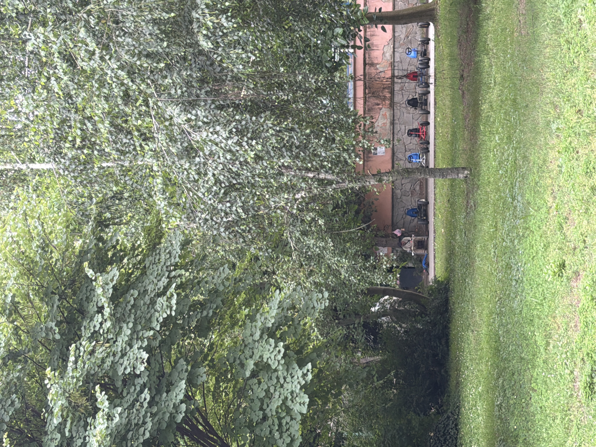 In Pazardzhik, Bulgaria, a verdant park features a central grassy area with a person seated on a chair, engaged in an activity resembling reading or writing, near a cluster of trees. To the right of the seating area, a line of six pedal-powered go-karts, in various colors including blue, red, and black, are parked in front of a stone-clad wall. The environment is characterized by lush green foliage from mature trees and well-maintained grass, suggesting an outdoor recreational space within the city.