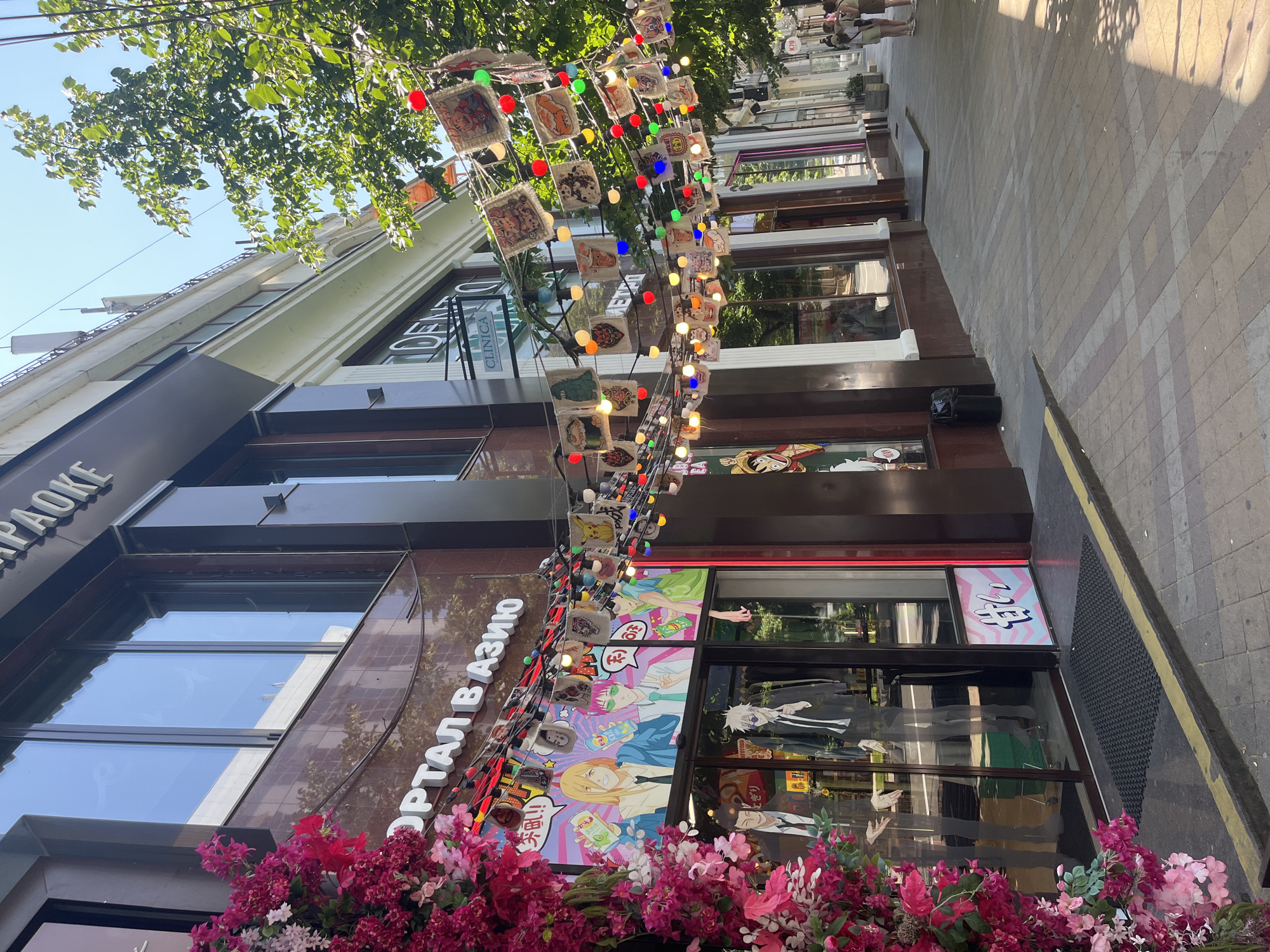 This is a vertical, eye-level, outdoor shot of a street scene on a sunny day. The foreground is dominated by a vibrant display of pink and magenta flowers, possibly bougainvillea, cascading downwards. Behind the flowers, the facade of a building is visible, featuring large windows and signage.
The building's facade appears to be a mix of dark brown and lighter brown materials, with reflective windows that show glimpses of the sky and the opposite side of the street. A prominent sign on the building reads "КАРАОКЕ" (Karaoke) in large, white, capitalized letters. Another sign, also in white capitalized letters, reads "ПОРТАЛ В АЗИЮ" (Portal to Asia).
A string of decorative lights and small, square fabric patches hangs across the upper portion of the facade. The patches appear to feature cartoonish imagery, possibly anime characters, and some are adorned with colorful pom-poms. Small, colored lights, including red, blue, green, yellow, and white, are interspersed along the string.
The street in front of the building is paved with square, light gray tiles arranged in a diagonal pattern. Sunlight casts shadows on the pavement, suggesting it is daytime. In the background, more buildings are visible, lining the street. Some people can be seen walking on the sidewalk in the distance, their figures small and indistinct. The overall atmosphere is cheerful and festive, likely due to the decorative lights and the bright flowers. The context provided indicates the location is Krasnodar, Russia.