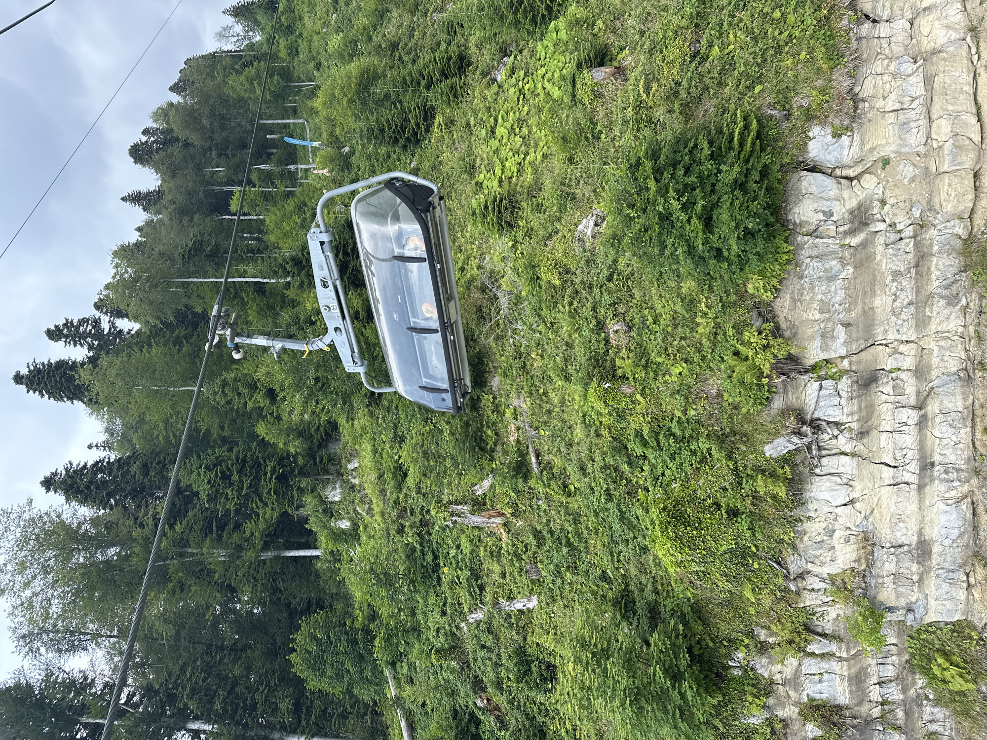 This image captures a ski lift gondola ascending a lush, green mountainside in Estosadok, Russia. The gondola, with its transparent windows, reveals a few passengers seated inside. Below the gondola, a steep, rocky cliff face is visible, overgrown with dense vegetation, including trees, shrubs, and ferns. The background is dominated by a dense forest of evergreen and deciduous trees, with a cloudy sky overhead. The scene suggests a summer day, with the ski resort likely still accessible for scenic rides or other outdoor activities.