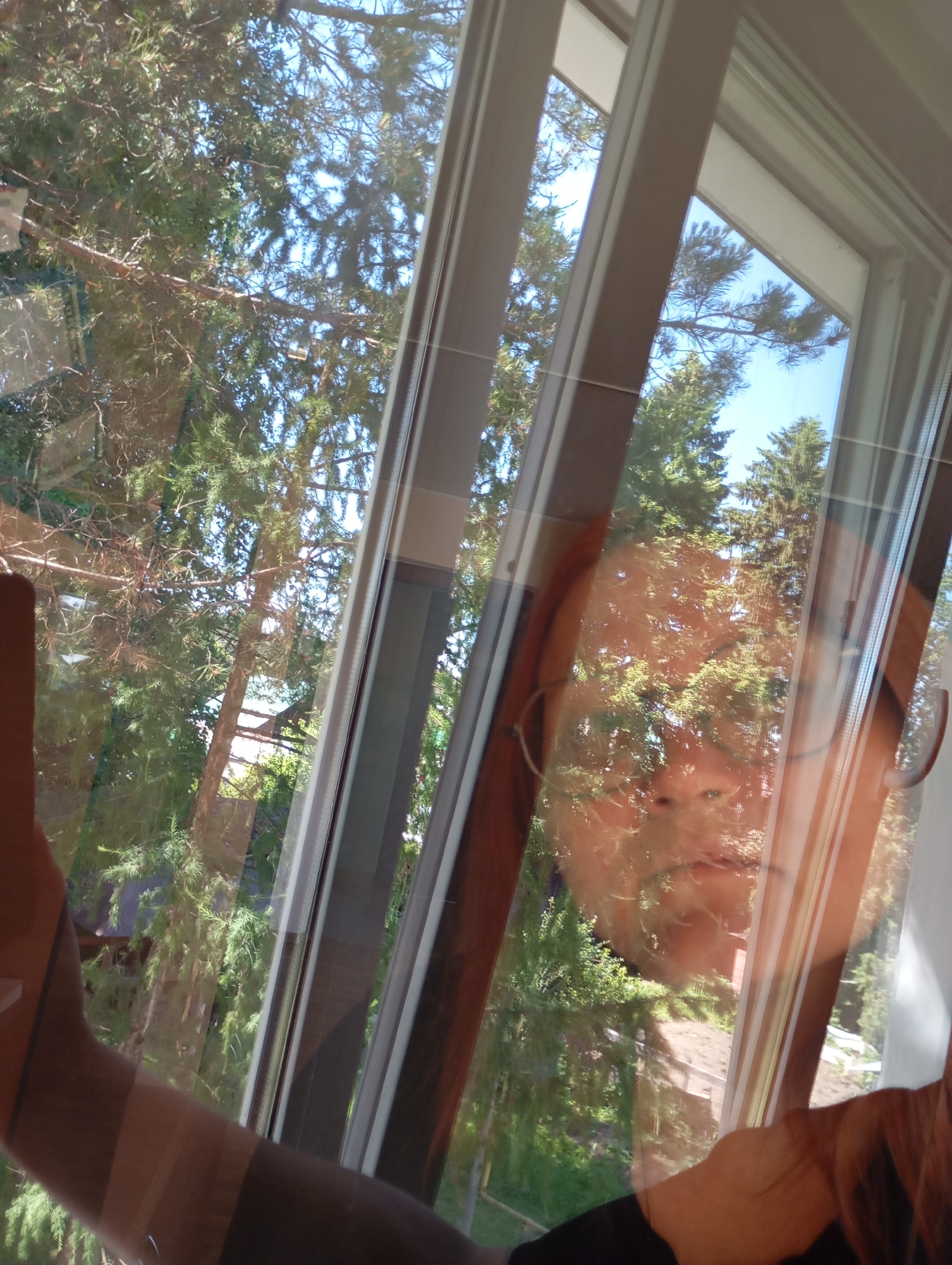 This image captures a reflection in a window, with a person's face and arm visible. The reflection shows a person with light-colored hair and glasses, their face partially obscured by the reflections of trees and sky. The background outside the window is filled with lush green trees and a clear blue sky, suggesting an outdoor setting, possibly in a suburban or rural area. The window itself appears to be part of a building with wooden frames, and the angle suggests it might be a skylight or a window on an upper floor. The image does not provide any specific details or landmarks to pinpoint a location within Chaikovsky, Russia.