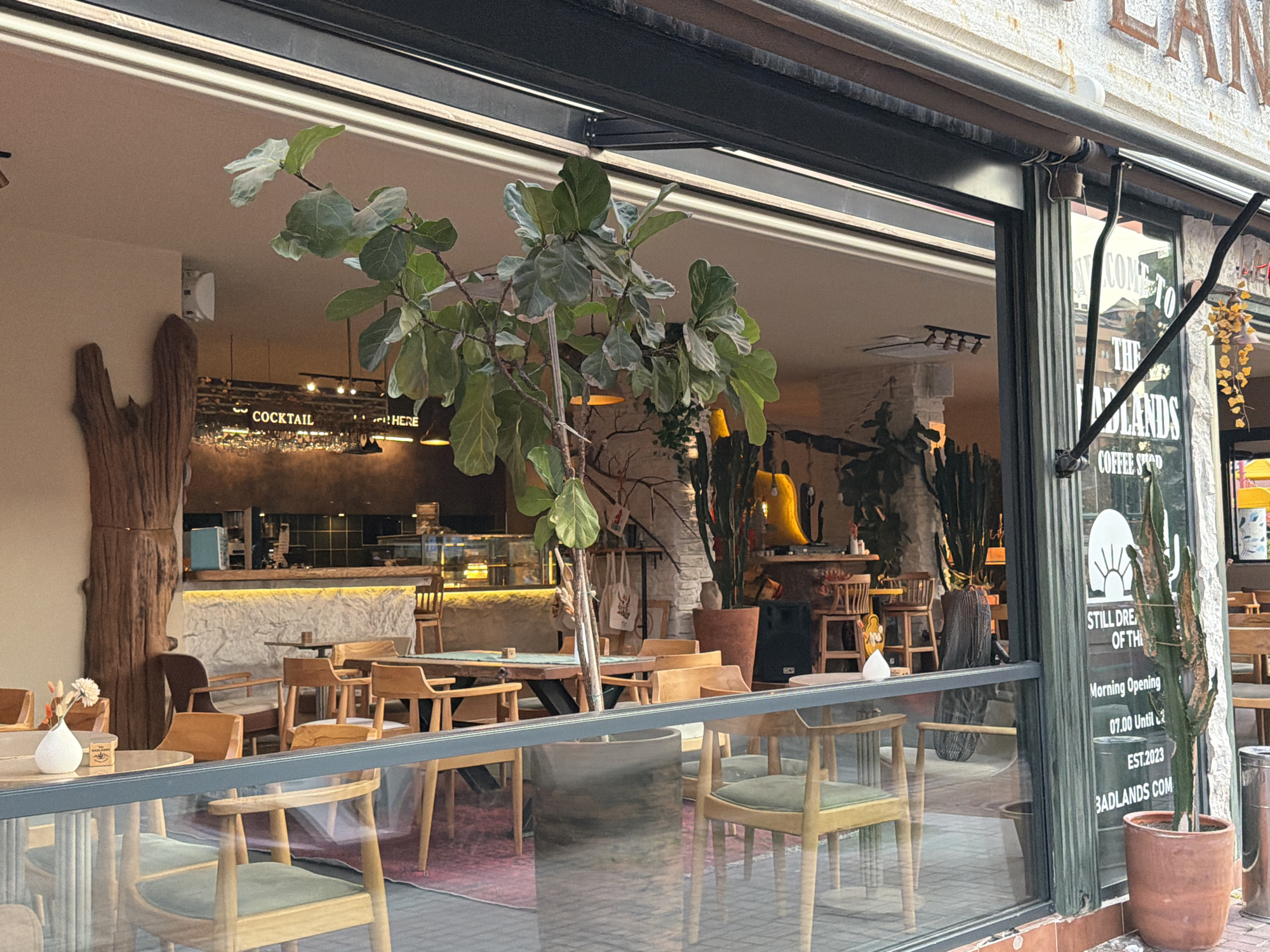 This image shows the exterior of a coffee shop called "Badlands Coffee Shop" in Alanya, Turkey. The coffee shop appears to have a modern, minimalist interior with light-colored walls and wooden furniture. Through the large glass windows, several tables and chairs are visible, as well as a bar area with a counter and shelves. A large potted plant with green leaves is positioned in front of the window, partially obscuring the view of the interior. A sign on the window indicates "Morning Opening 07.00 Until 24.00 EST.2023 BADLANDS.COM". The exterior wall of the building is textured and off-white, with a sign above the window that reads "BADLANDS". The scene is viewed from street level, with the glass facade reflecting some of the exterior environment.