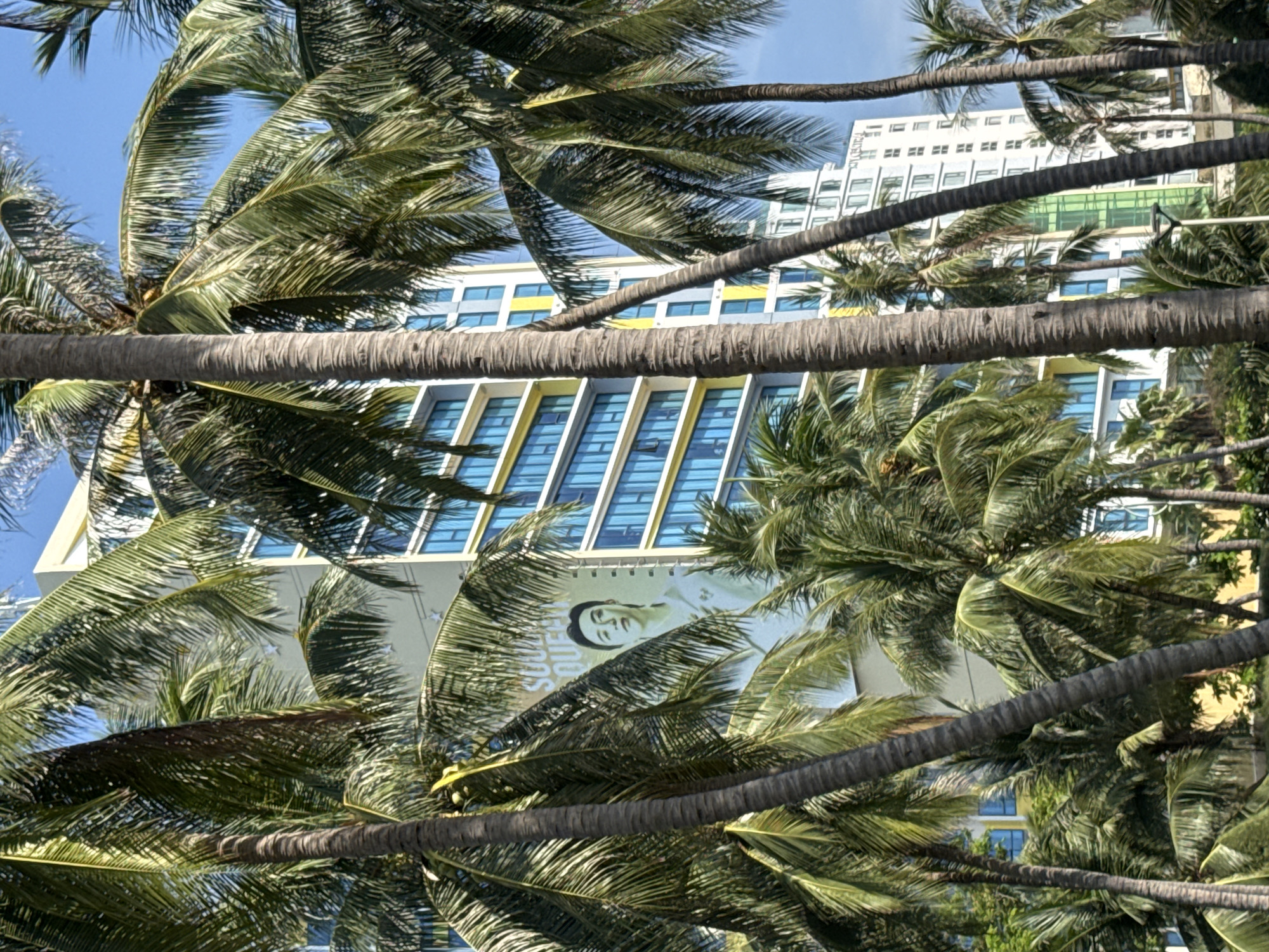 The image captures a view of a modern, multi-story building in Nha Trang Ward, Vietnam, partially obscured by lush green palm trees. The building features a light-colored facade with prominent blue-tinted windows arranged in horizontal bands. A large billboard or advertisement is visible on the side of the building, featuring a portrait of a person with Asian features, identified by text that appears to read "Soul Queen." The sky is a clear blue. The foreground is dominated by the textured trunks and fronds of several palm trees, creating a tropical atmosphere. The scene suggests a sunny day in a coastal urban environment.